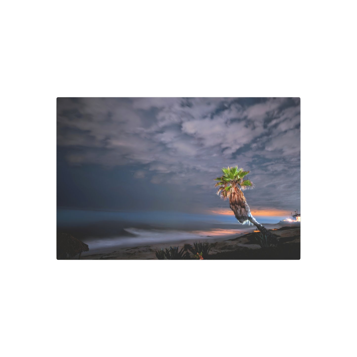 Midnight Palm - Metal Coastal Print