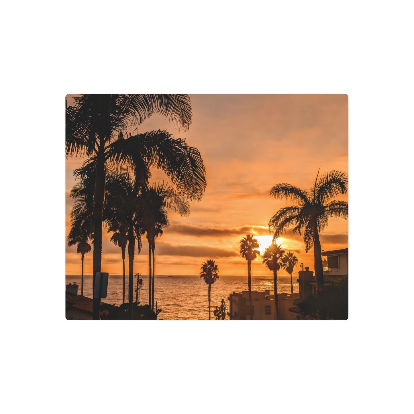 Between the Palms - Metal Coastal Print