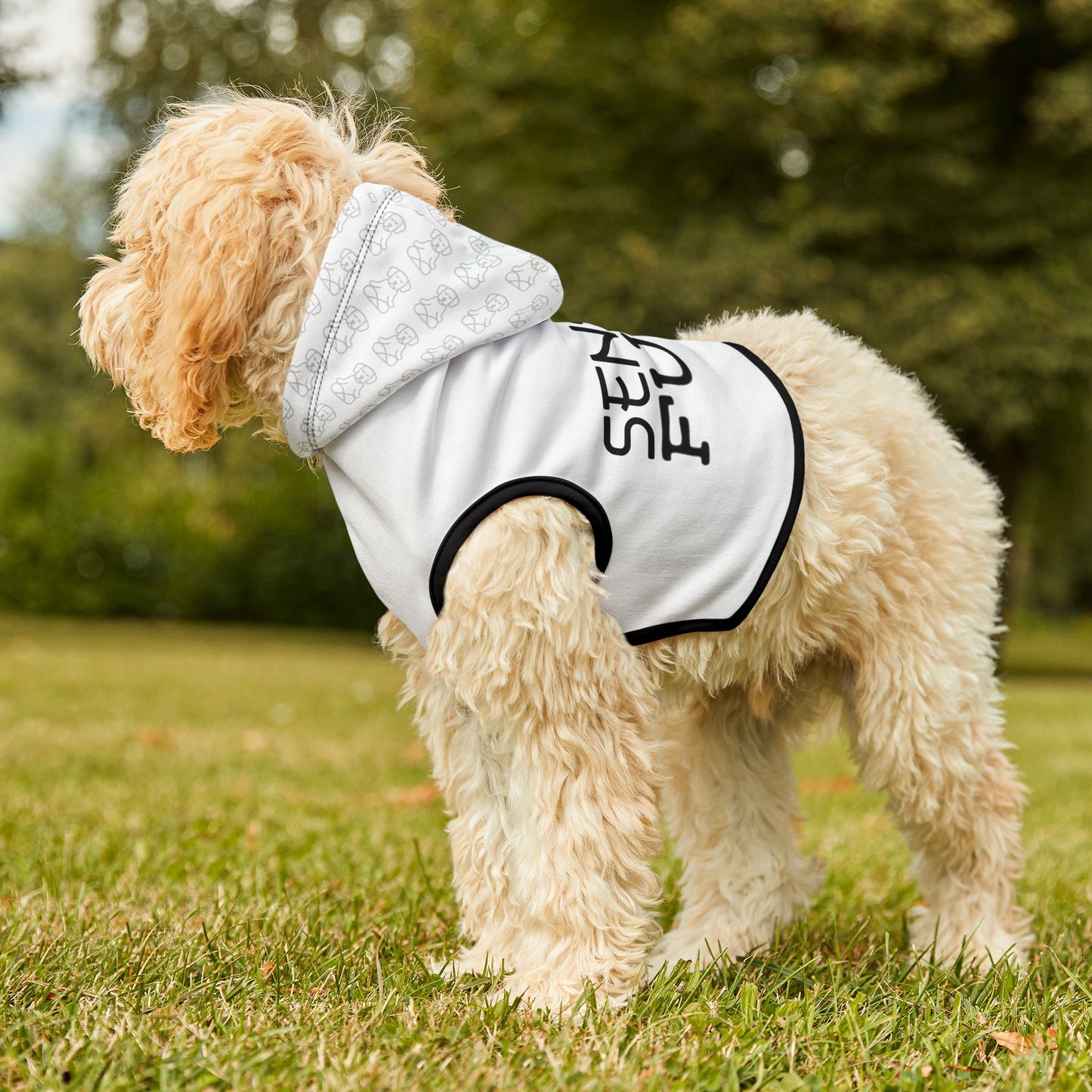 Sensei of Fury - Pet Hoodie