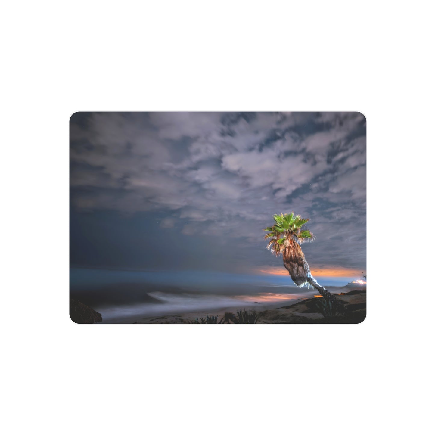 Midnight Palm - Metal Coastal Print