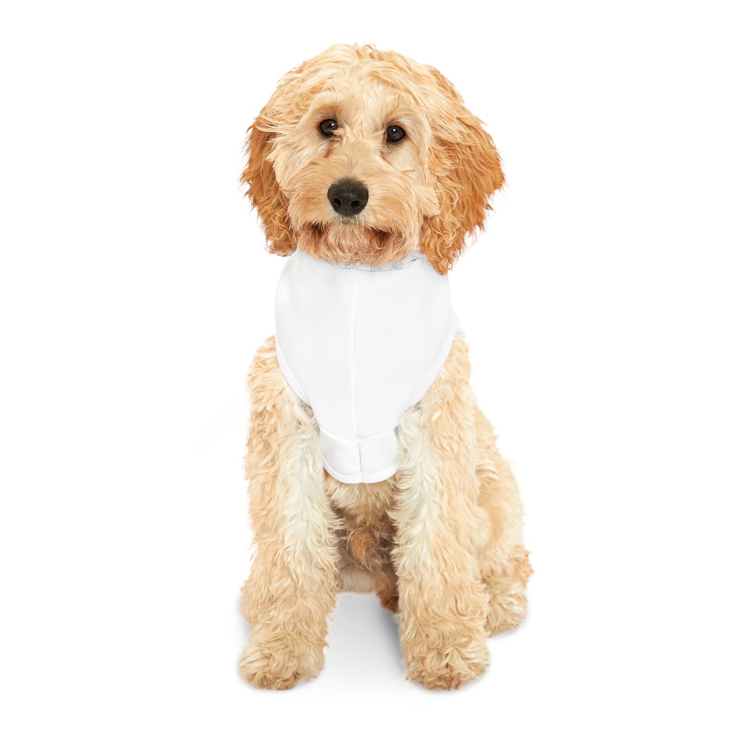 Sensei of Fury - Pet Hoodie