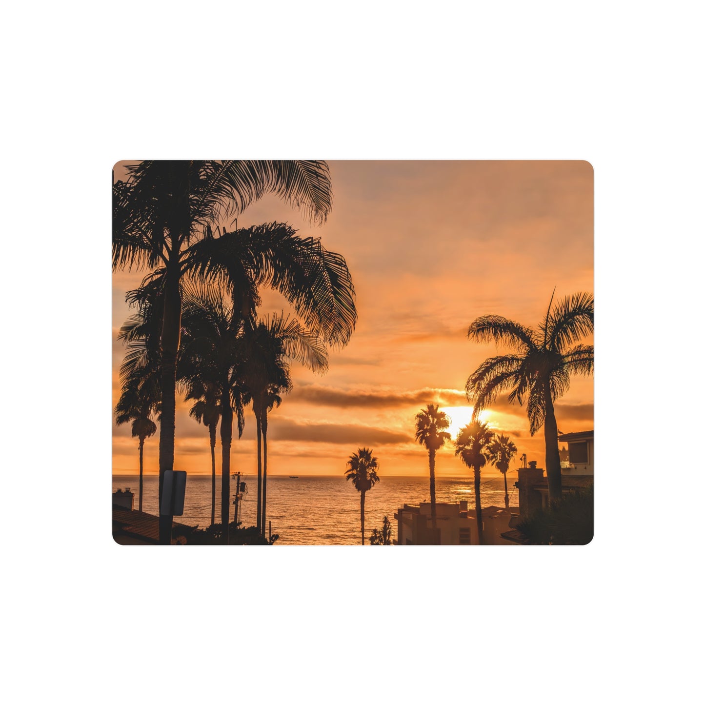 Between the Palms - Metal Coastal Print