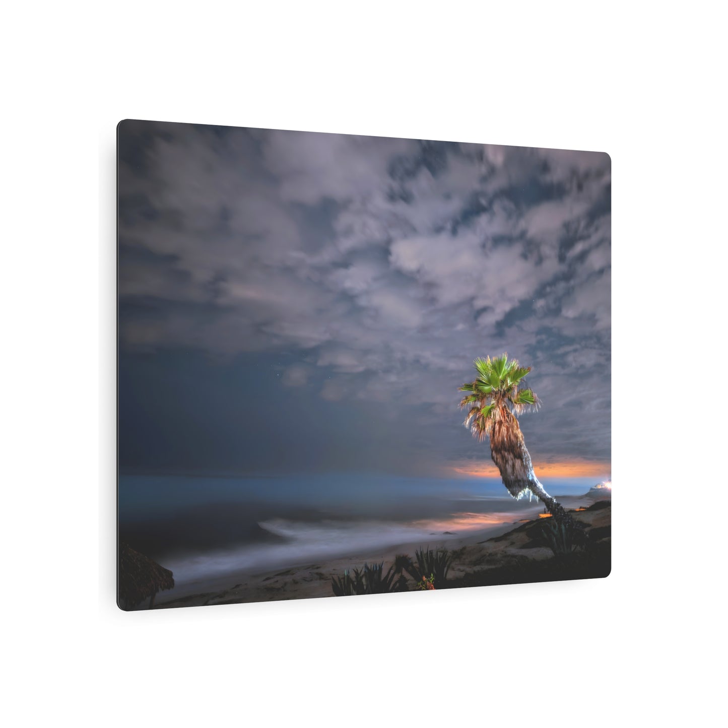 Midnight Palm - Metal Coastal Print