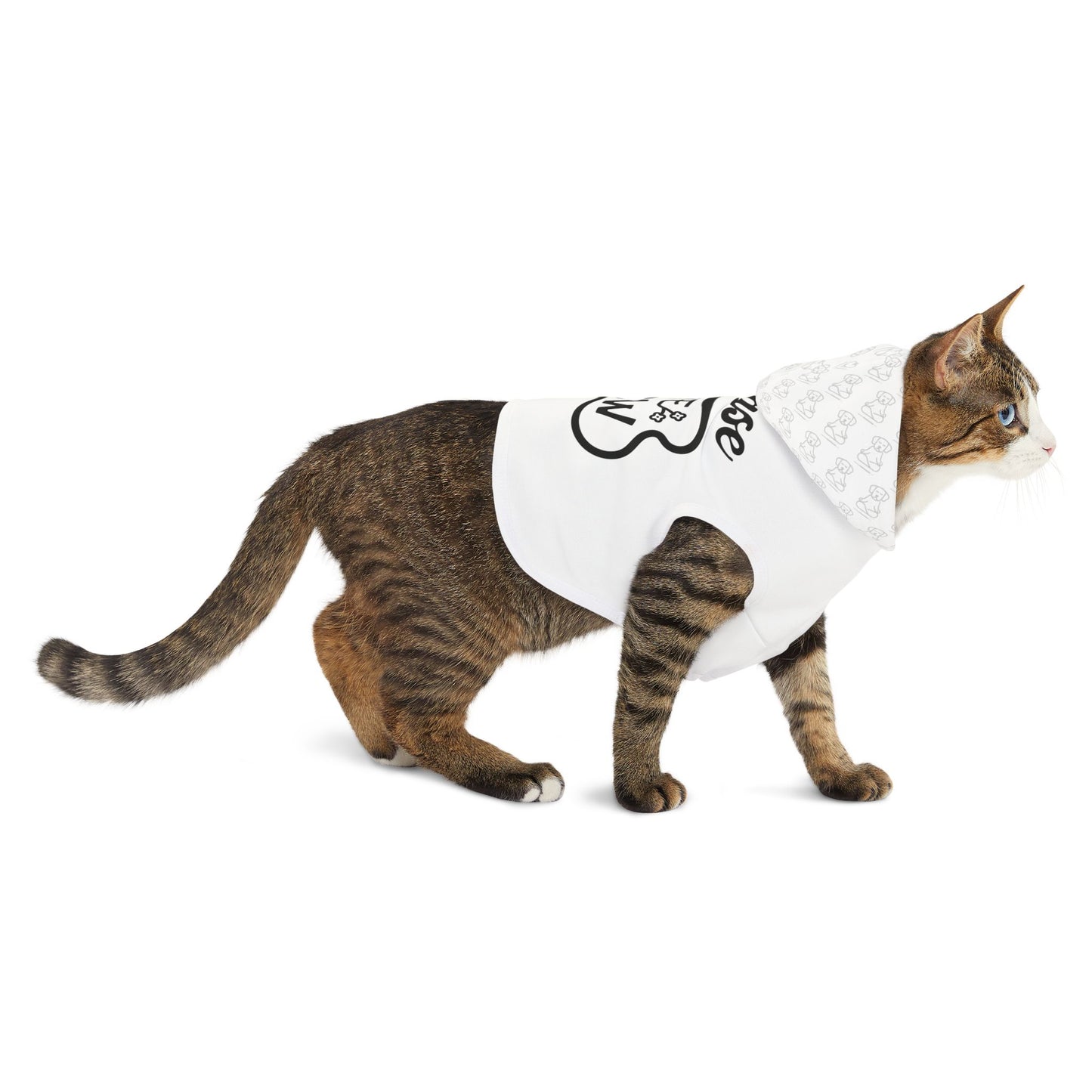 Chase The Now - Pet Hoodie