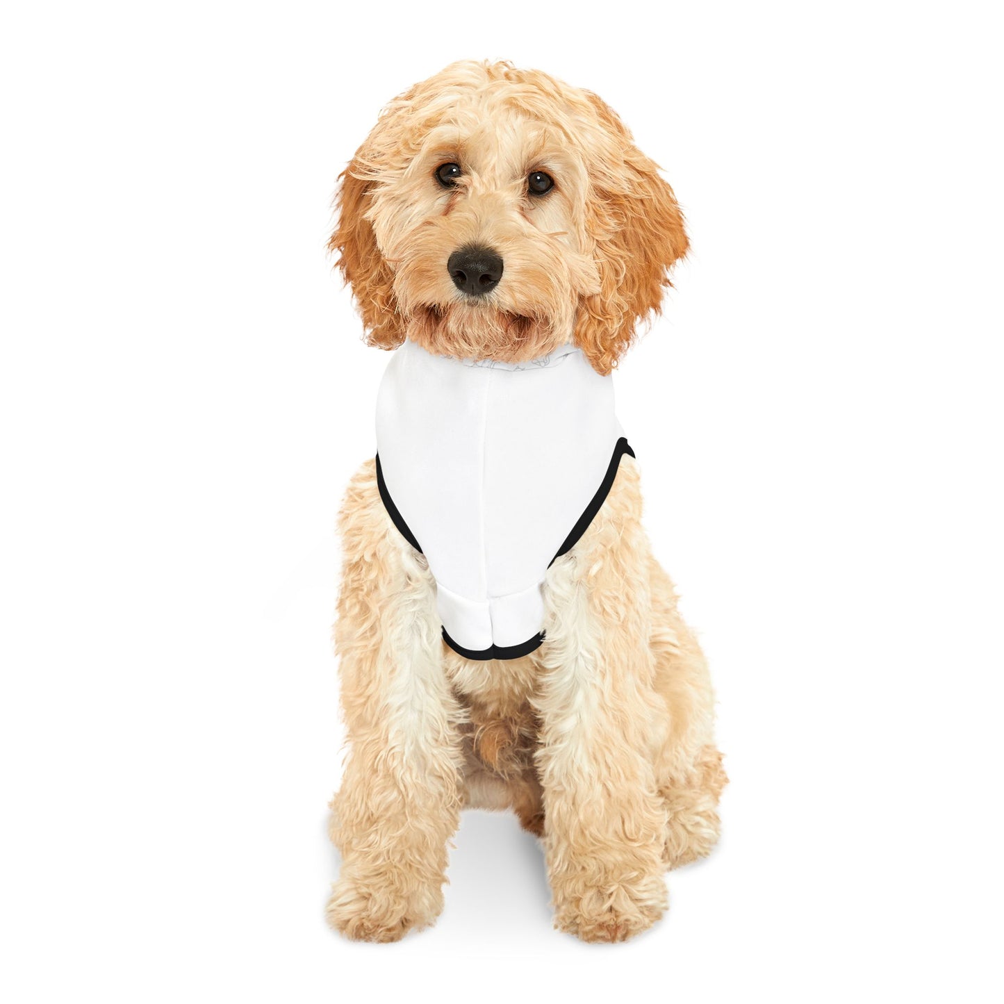 Wag Your Way - Pet Hoodie