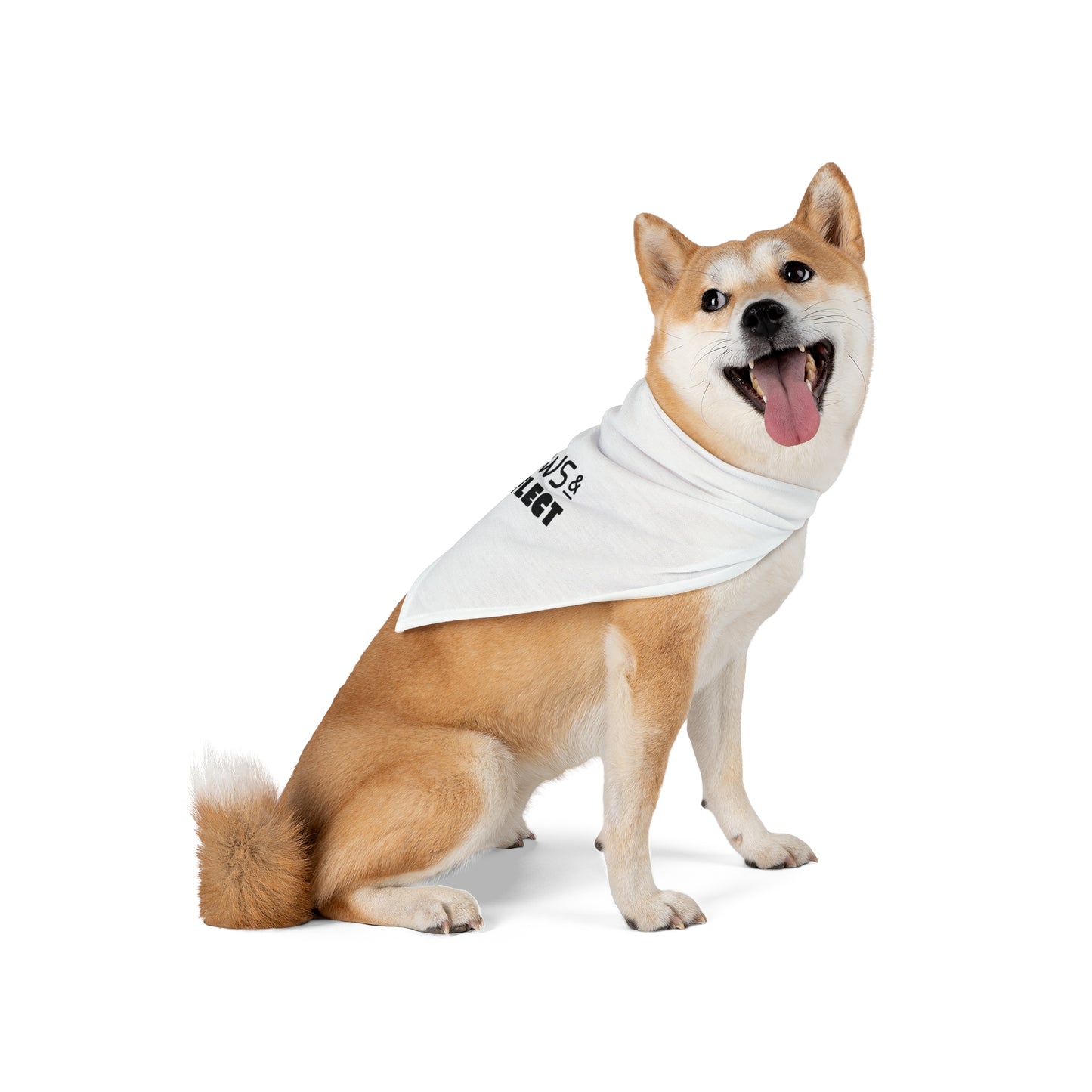 Paws & Reflect - Pet Bandana