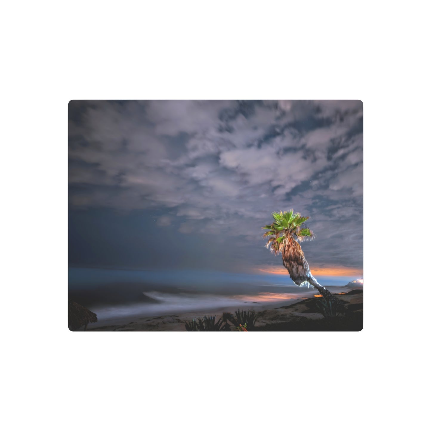 Midnight Palm - Metal Coastal Print