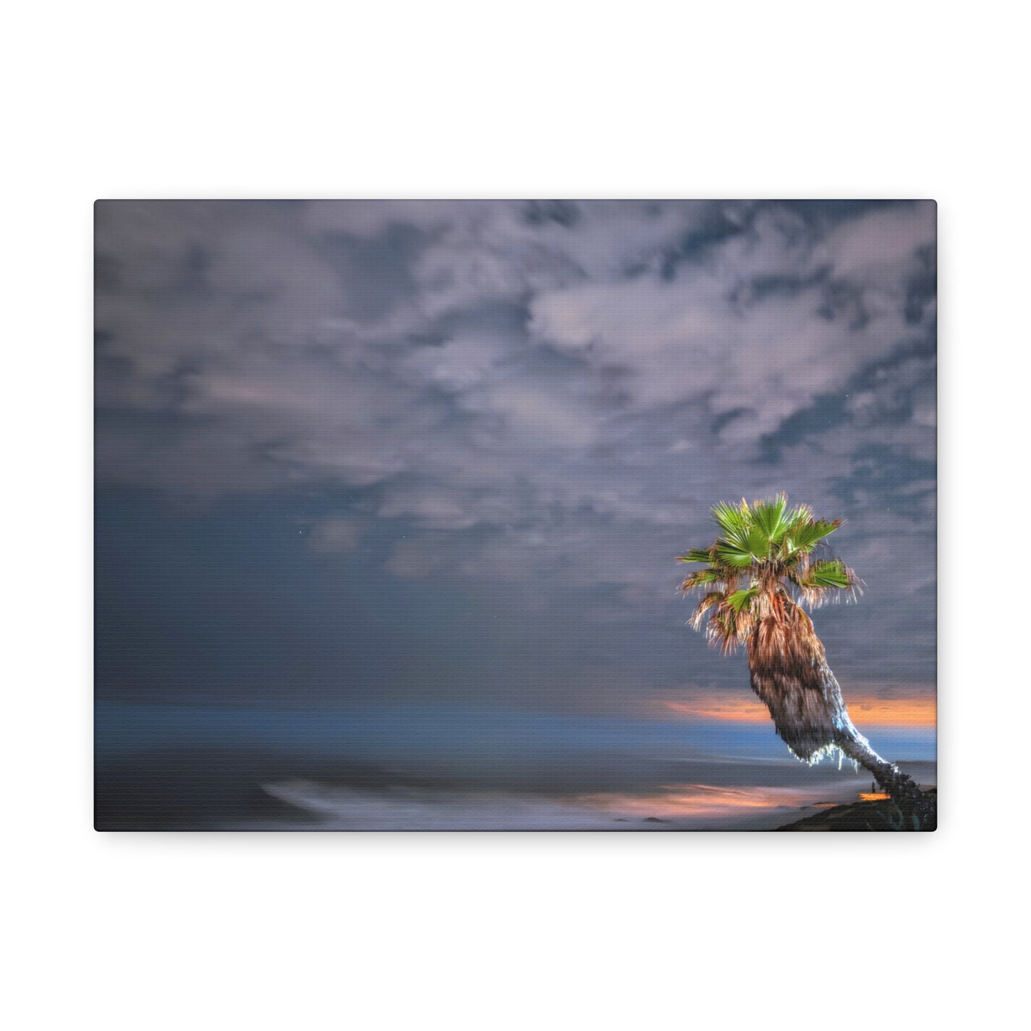 Midnight Palm - Canvas Print