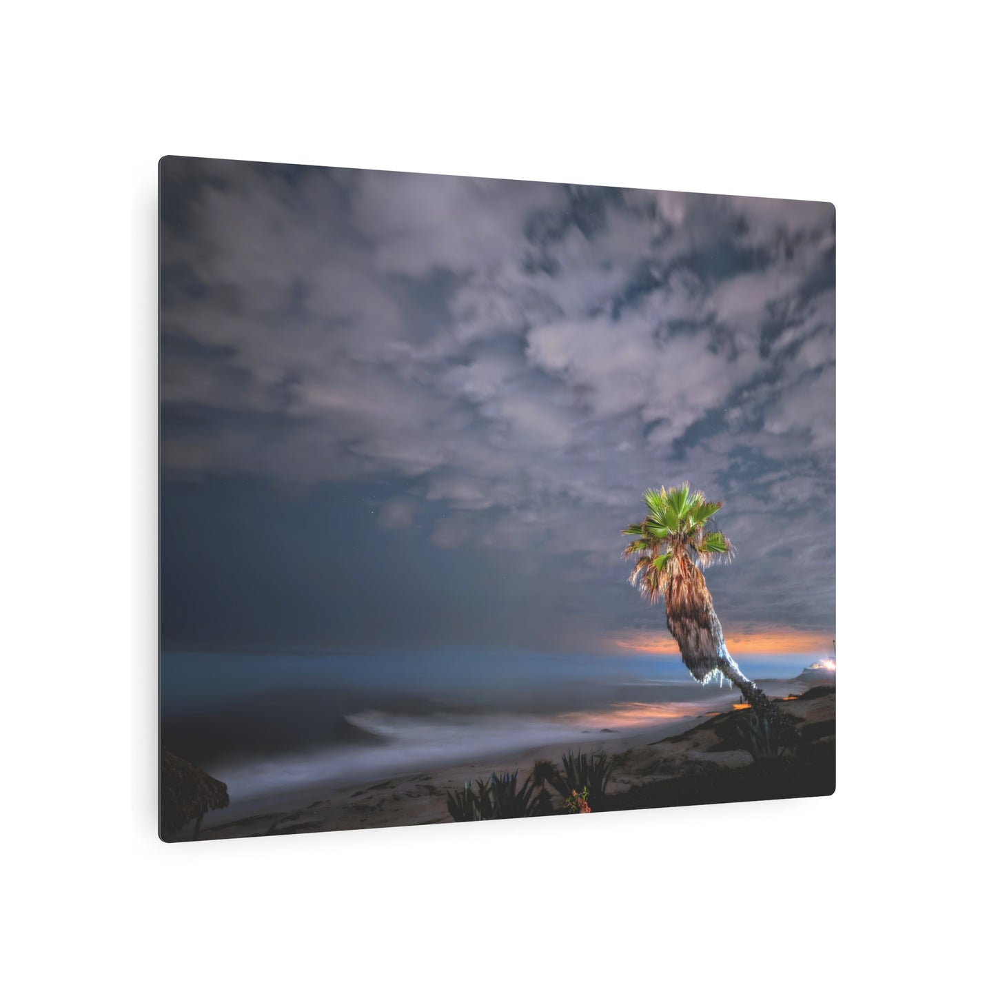 Midnight Palm - Metal Coastal Print