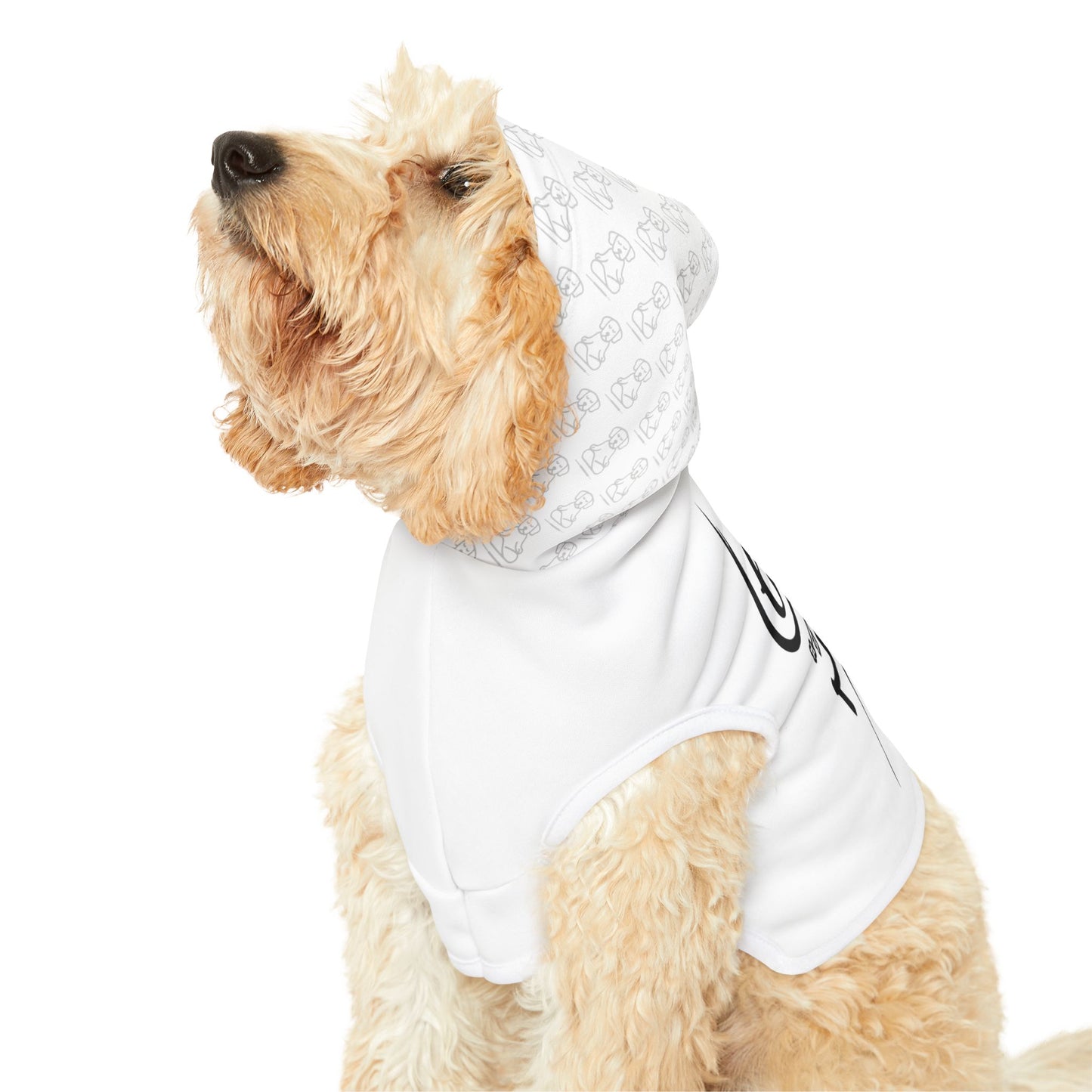 Chase The Now - Pet Hoodie