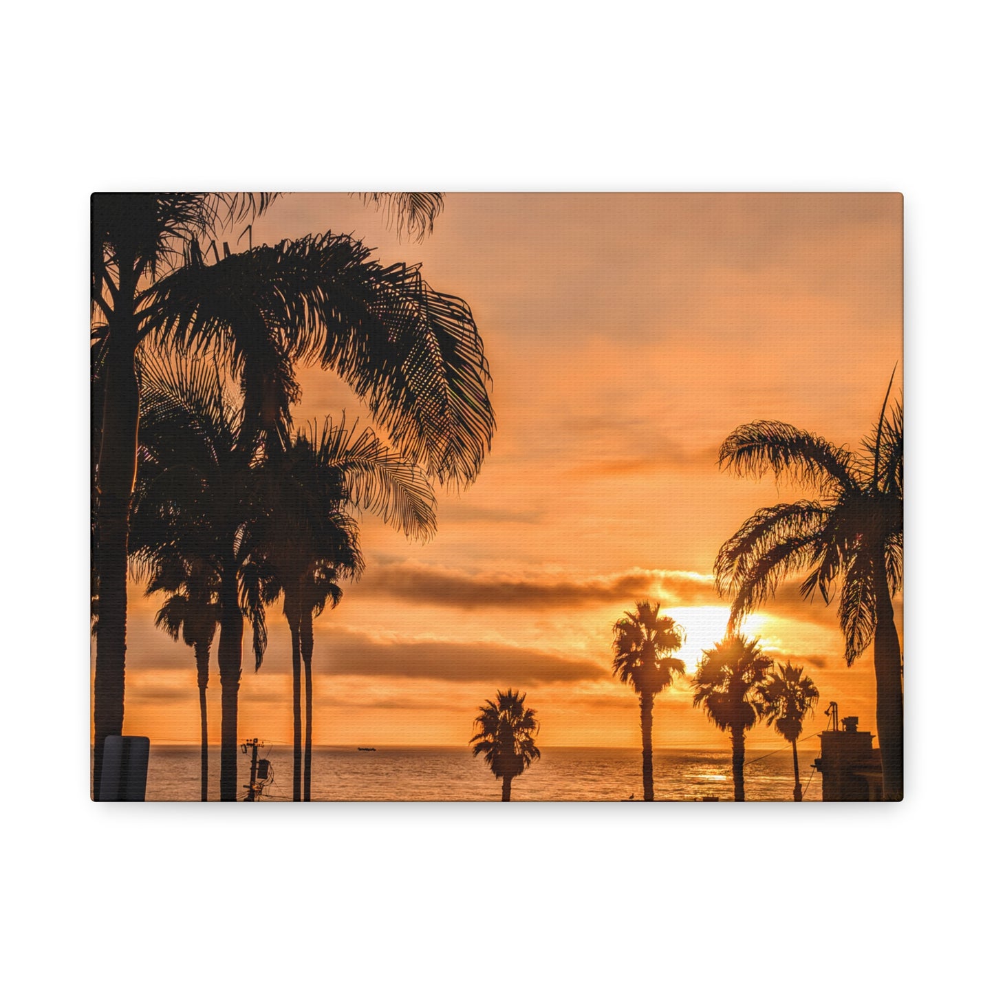 Between the Palms - Canvas Print