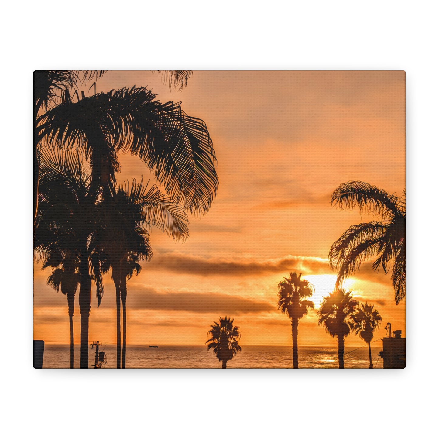 Between the Palms - Canvas Print