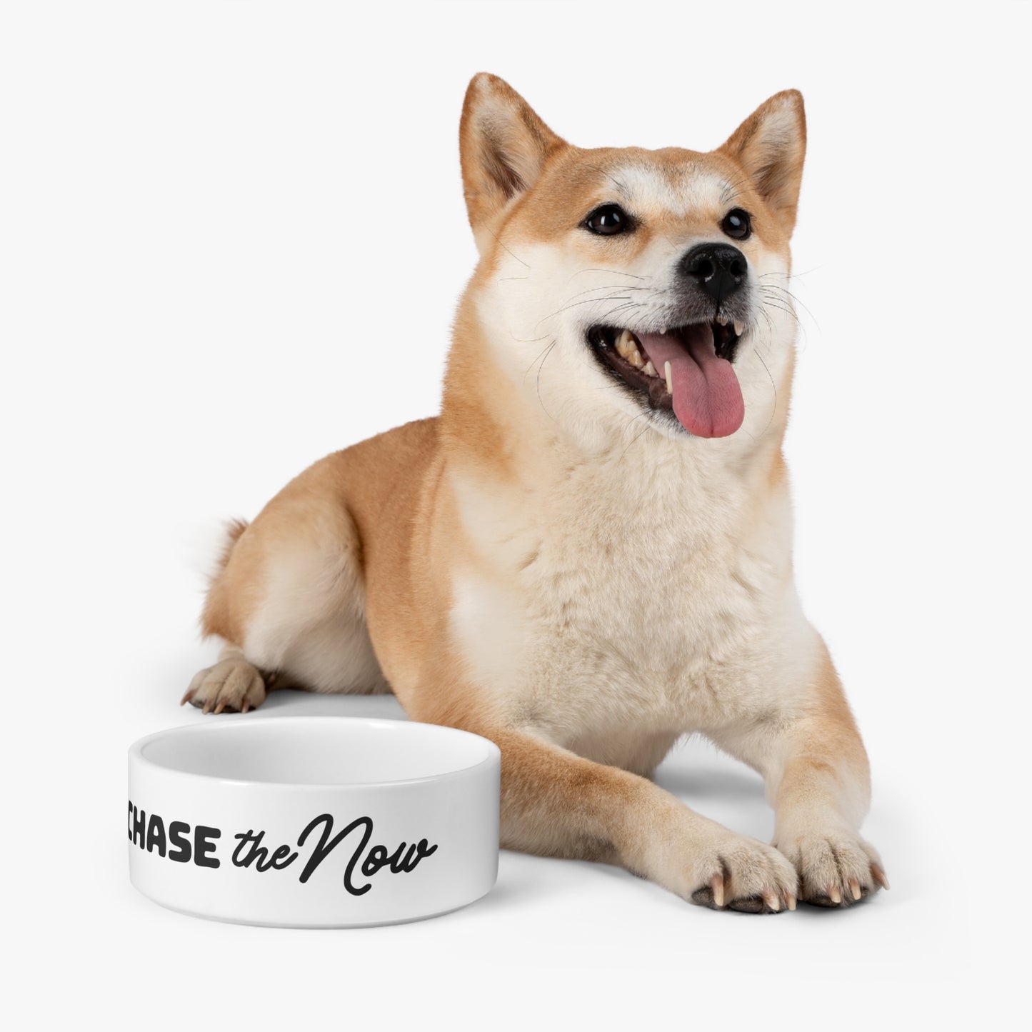 Chase the Now - Pet Bowl