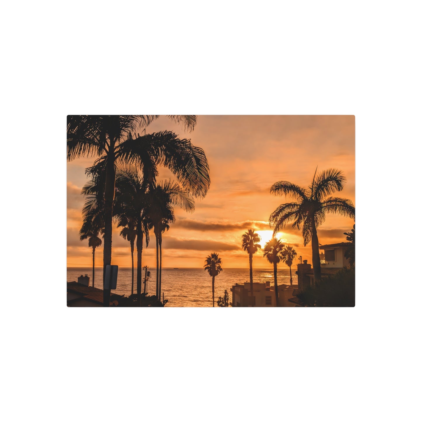 Between the Palms - Metal Coastal Print