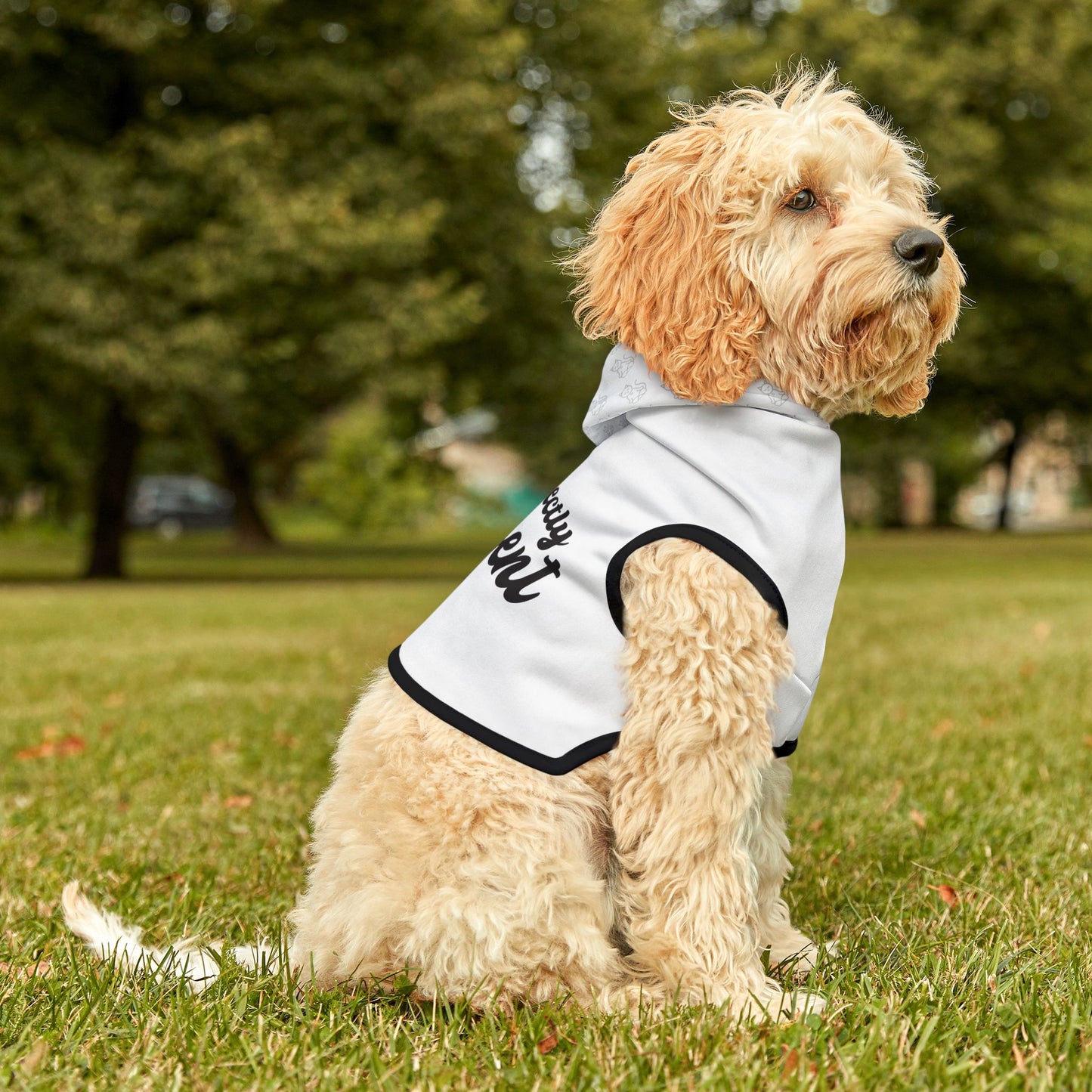 Purrfectly Present - Pet Hoodie
