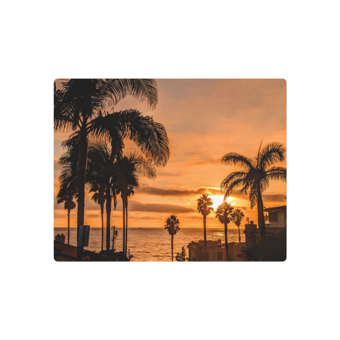 Between the Palms - Metal Coastal Print
