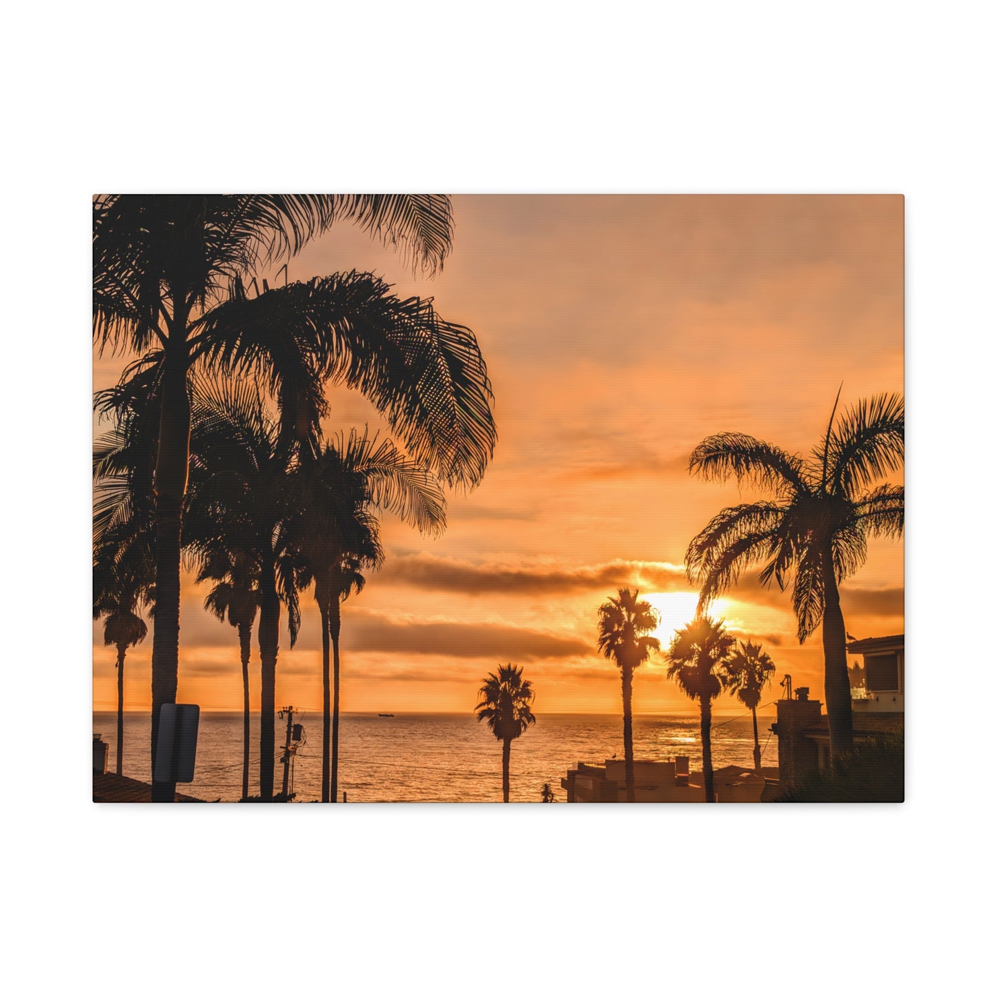 Between the Palms - Canvas Print