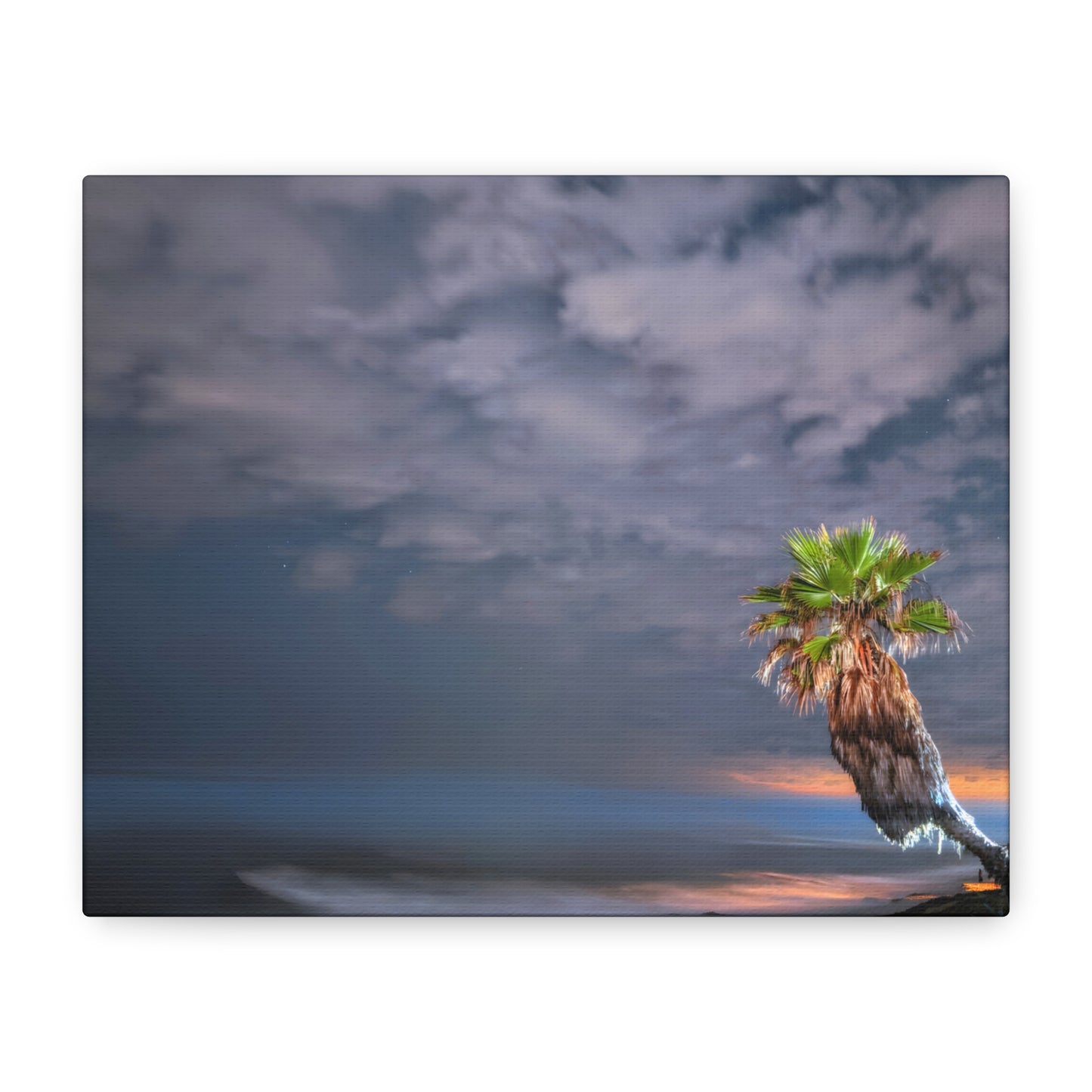 Midnight Palm - Canvas Print
