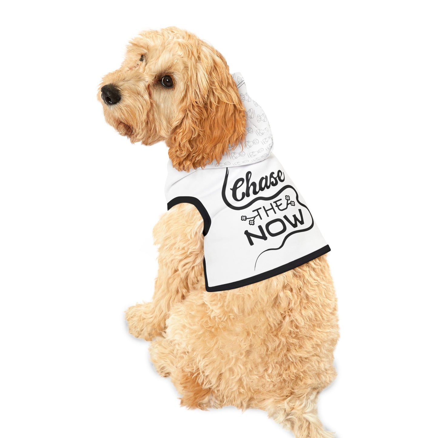 Chase The Now - Pet Hoodie