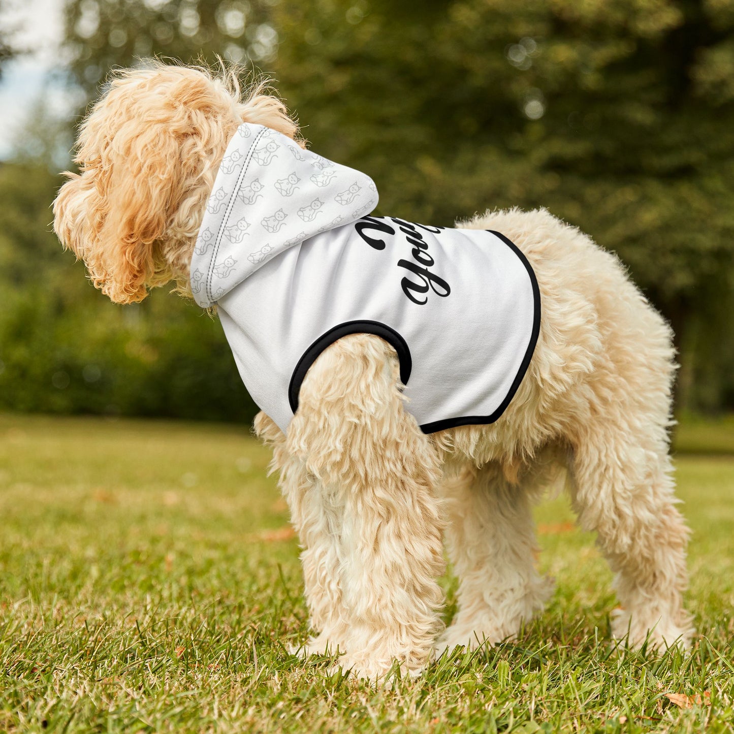 Wag Your Way - Pet Hoodie