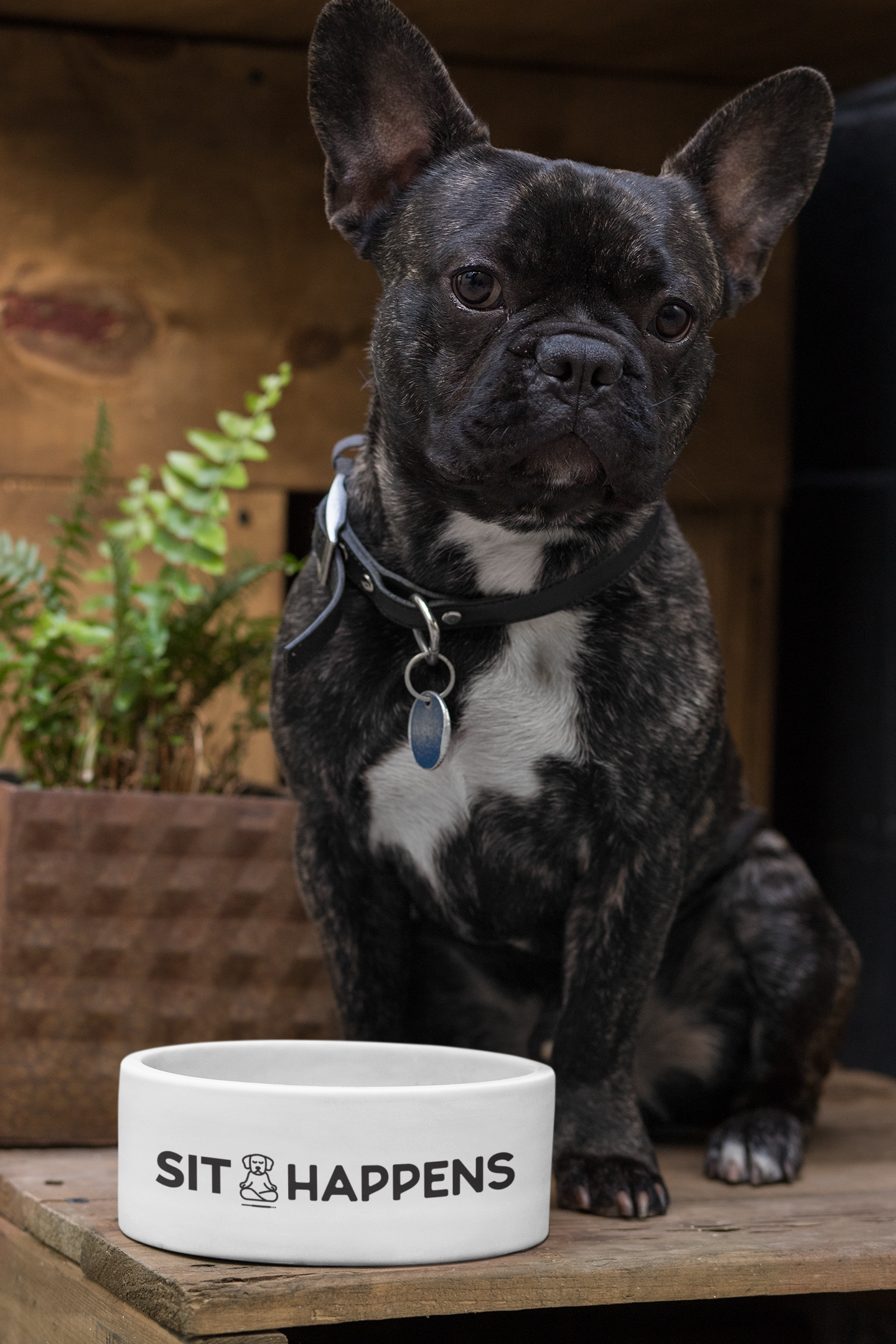 Sit Happens Pet Bowl