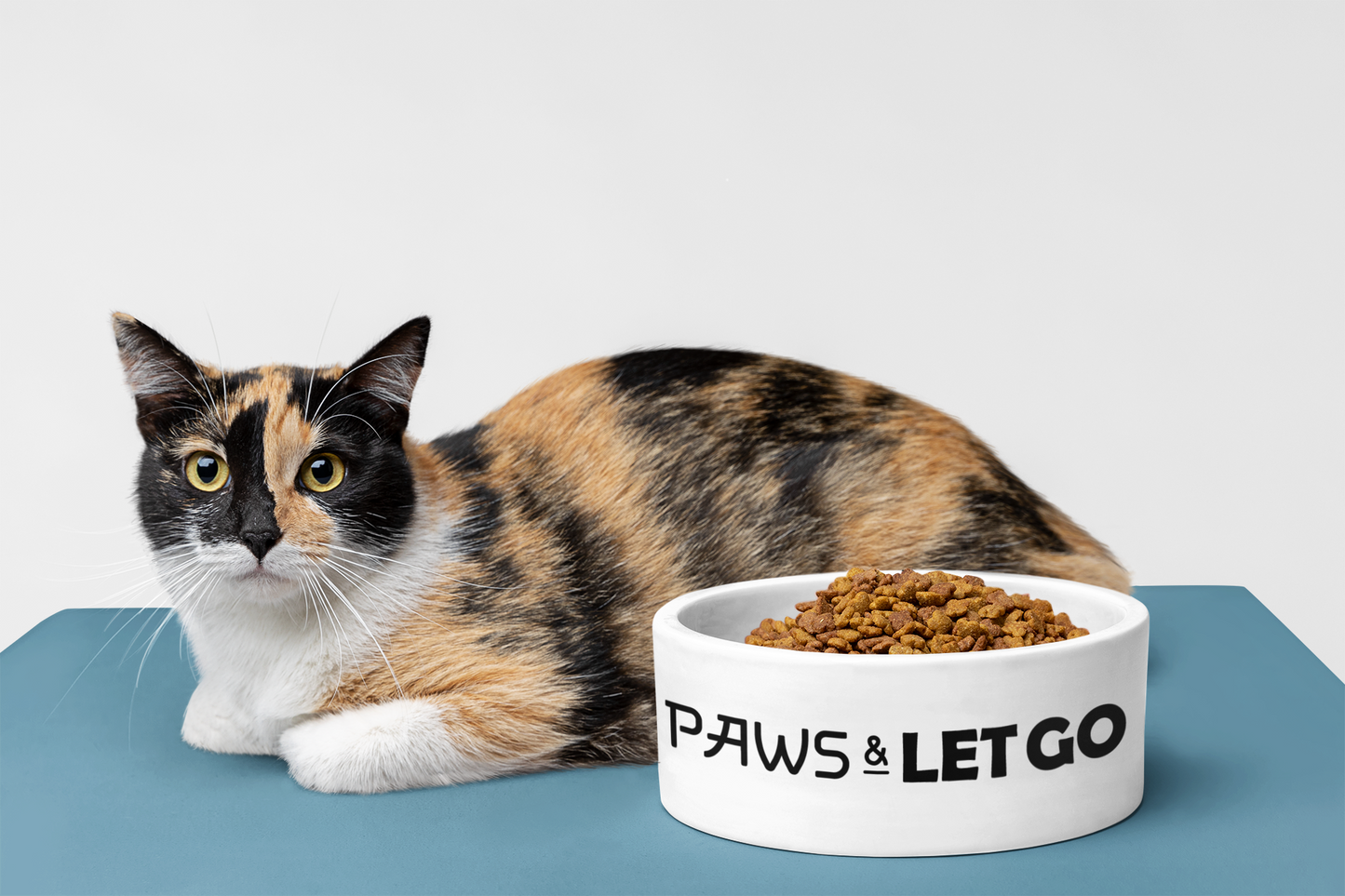 Paws And Let Go - Pet Bowl