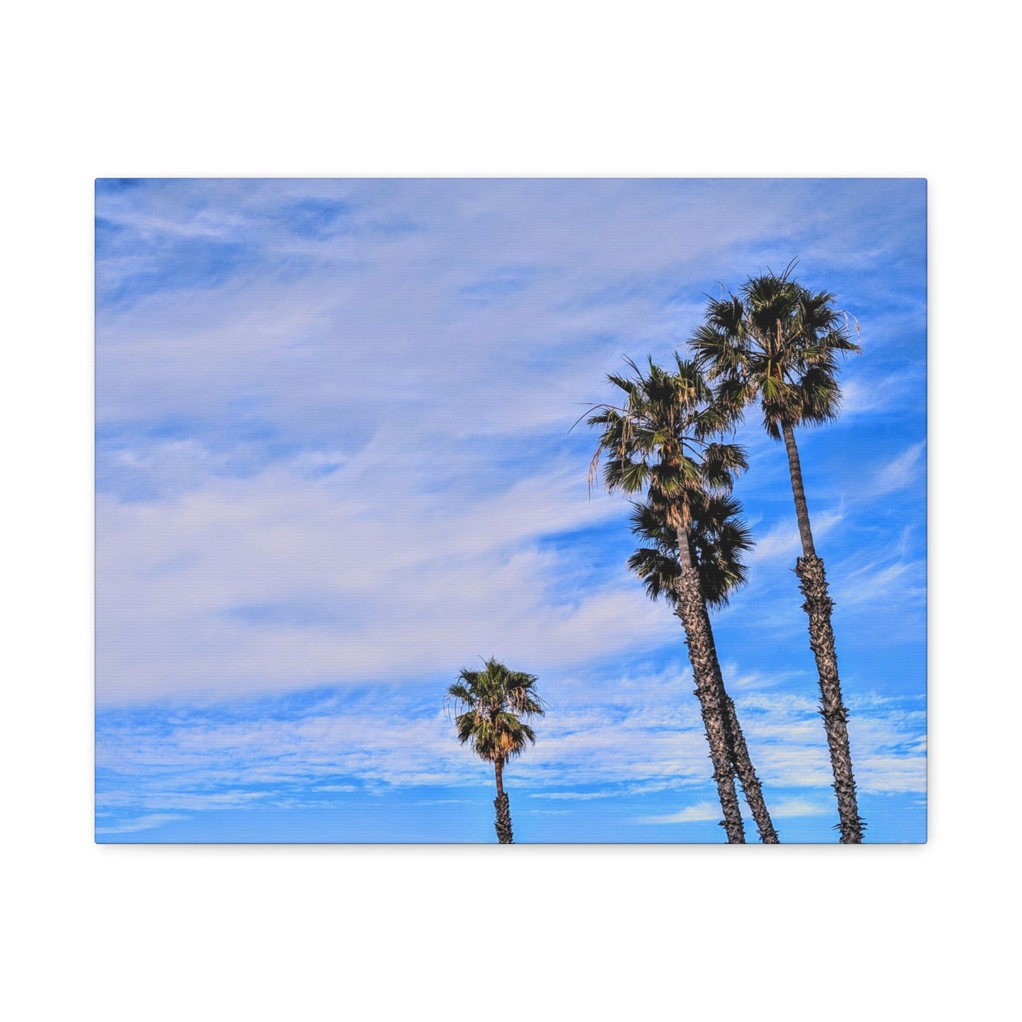 Palm Family Canvas Wall Art Print