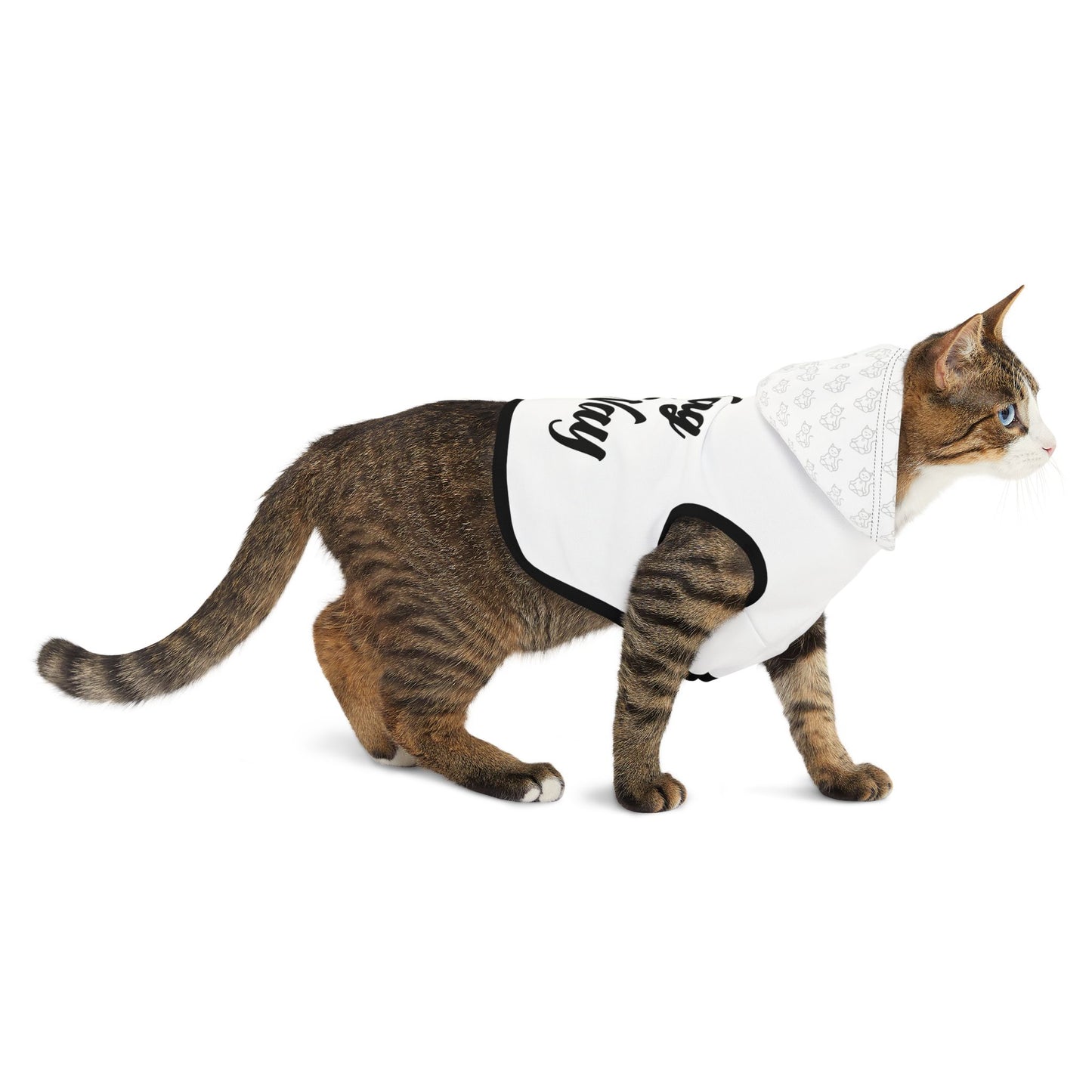 Wag Your Way - Pet Hoodie