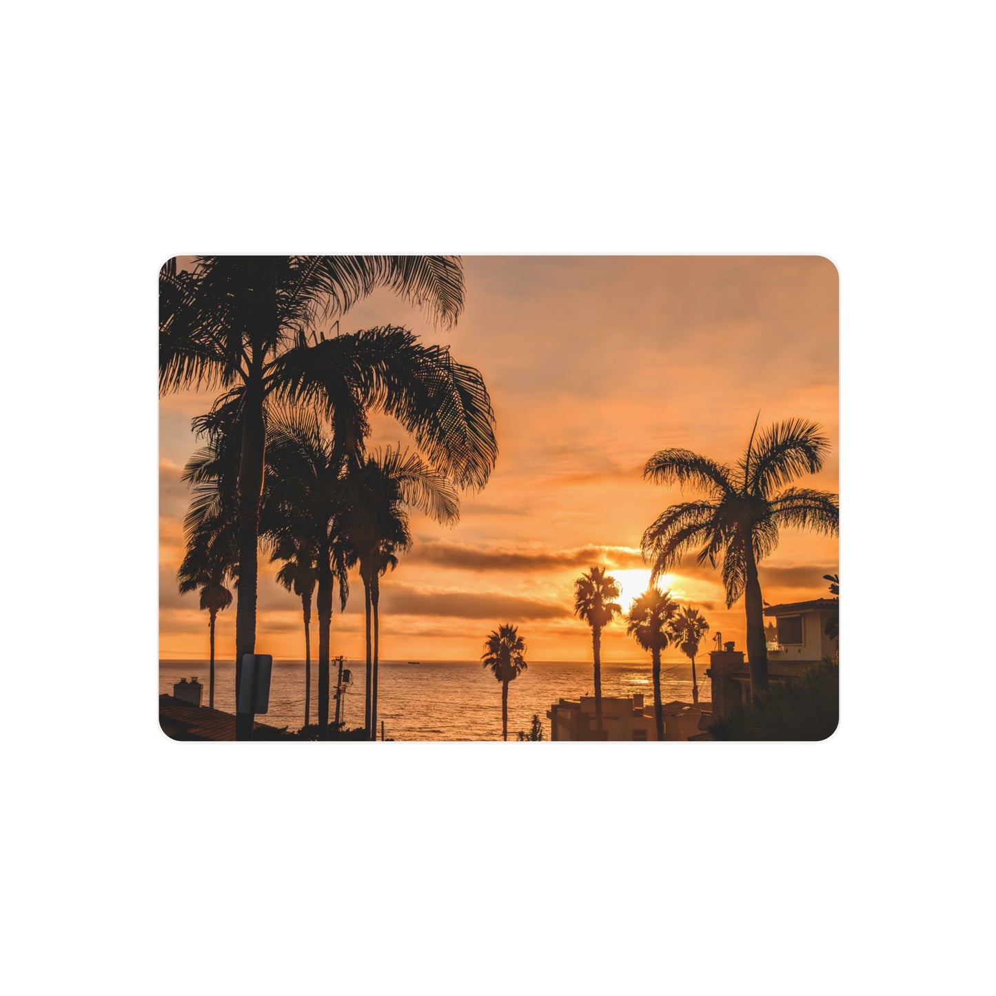 Between the Palms - Metal Coastal Print