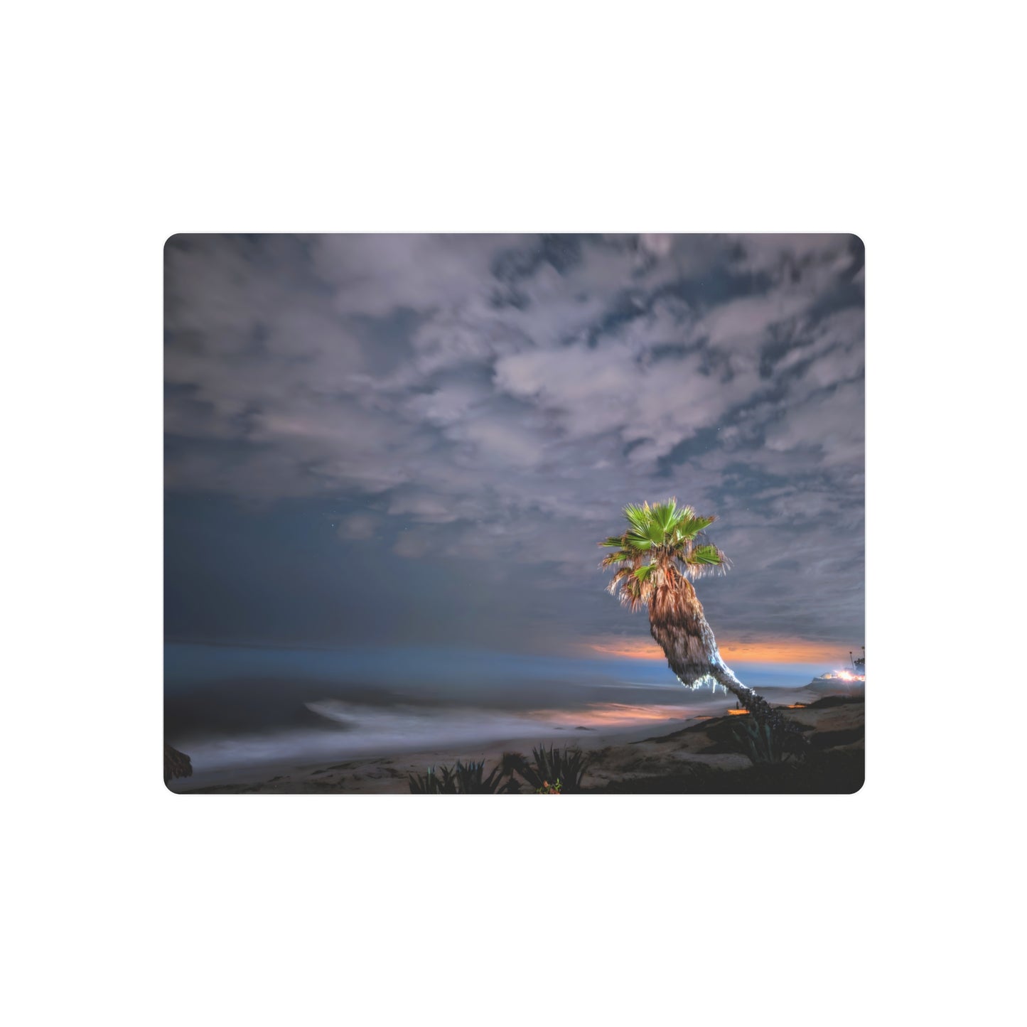 Midnight Palm - Metal Coastal Print