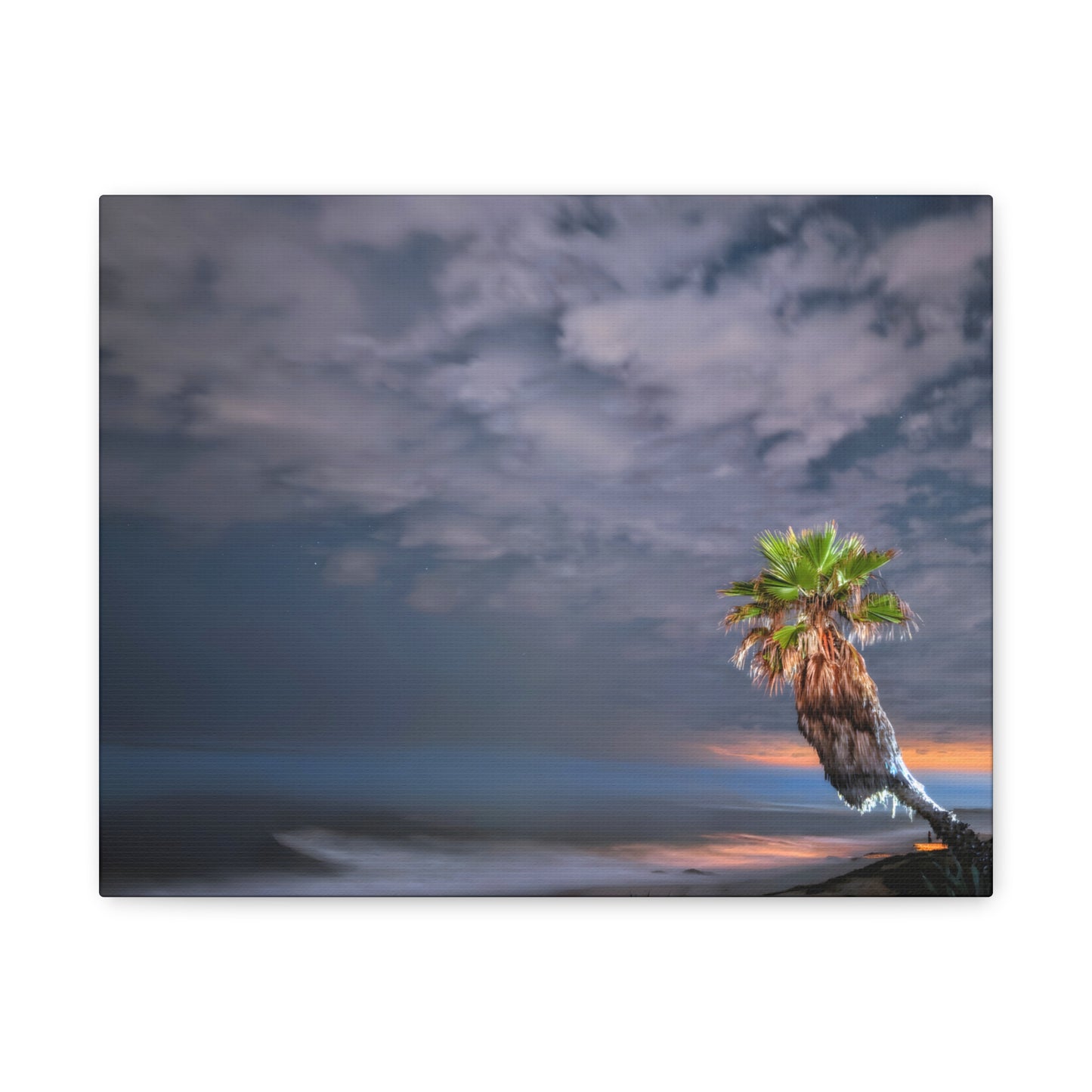 Midnight Palm - Canvas Print
