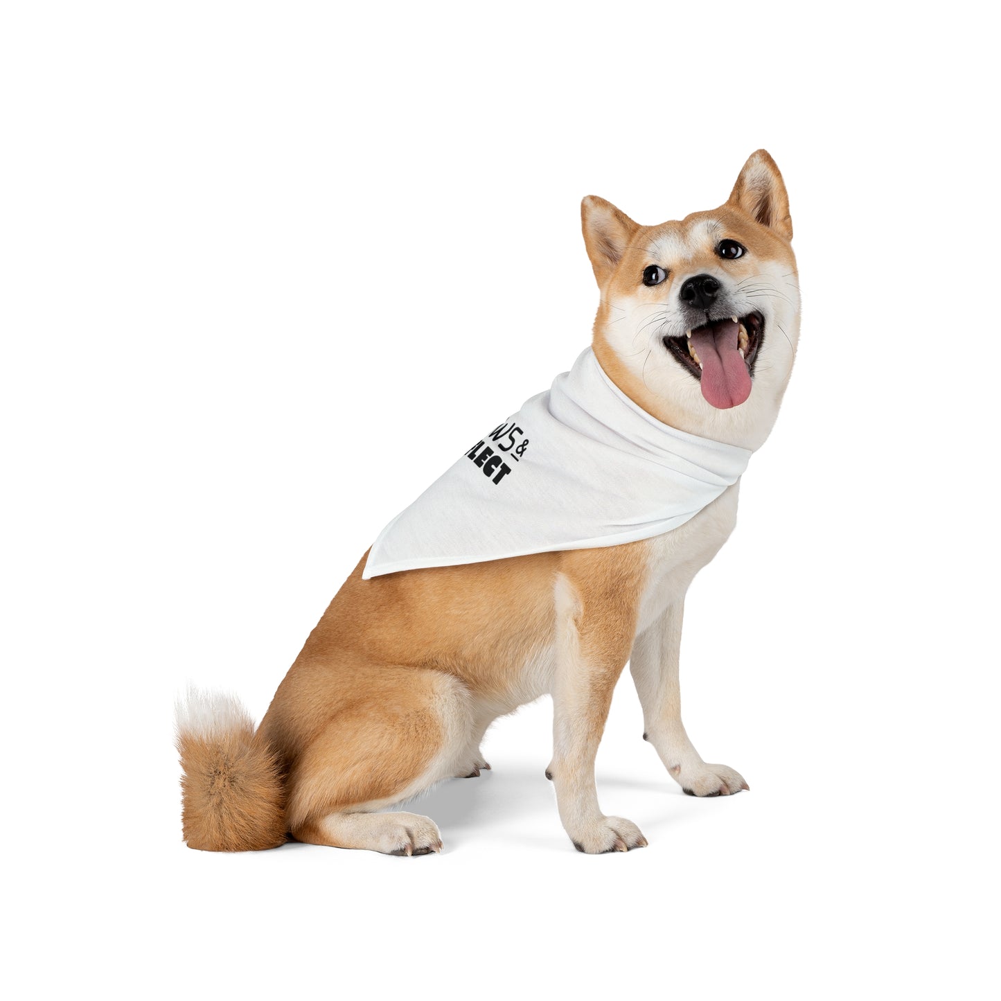 Paws & Reflect - Pet Bandana