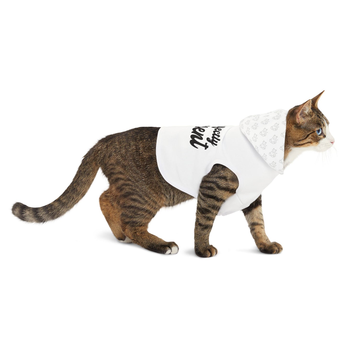Purrfectly Present - Pet Hoodie