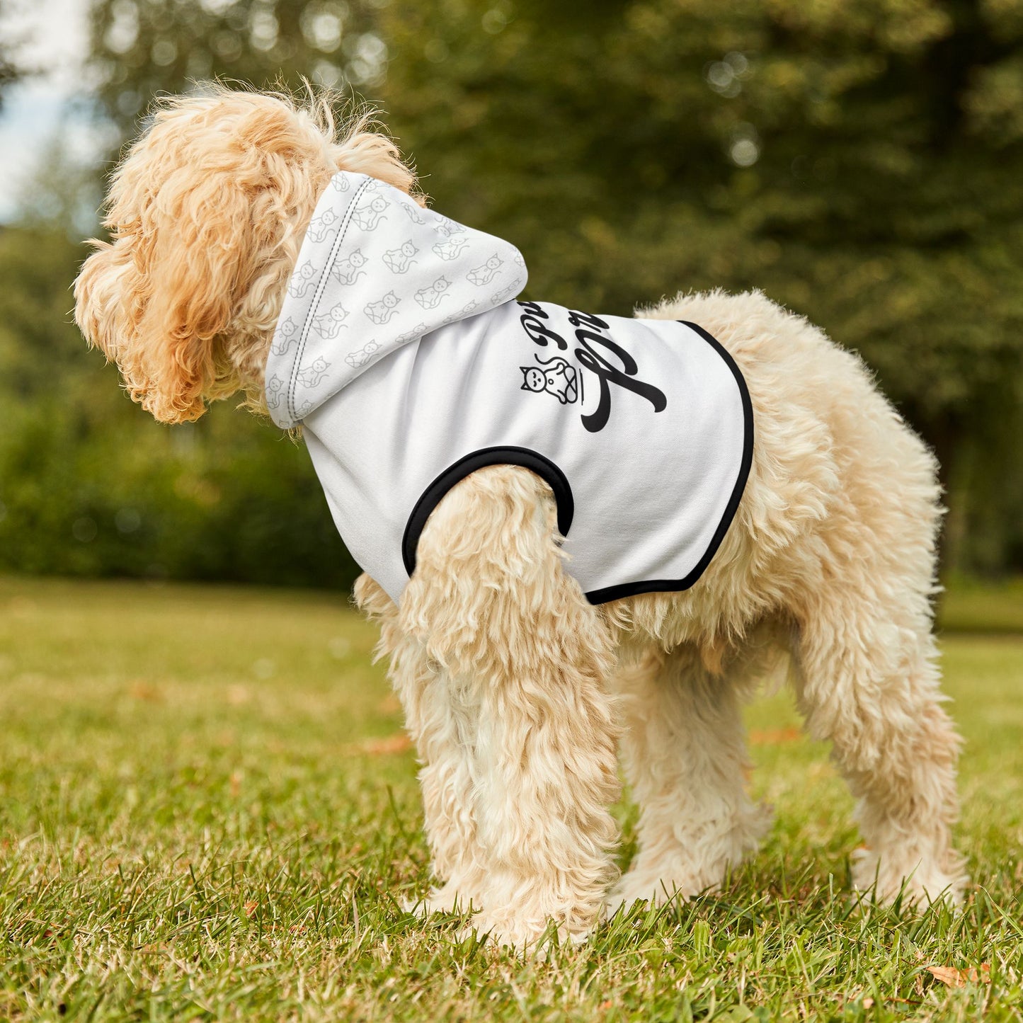 Purrfectly Present - Pet Hoodie