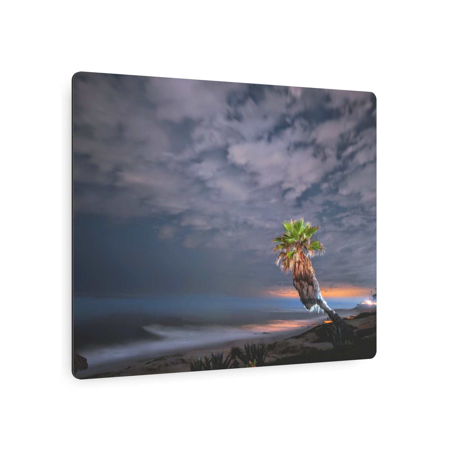 Midnight Palm - Metal Coastal Print