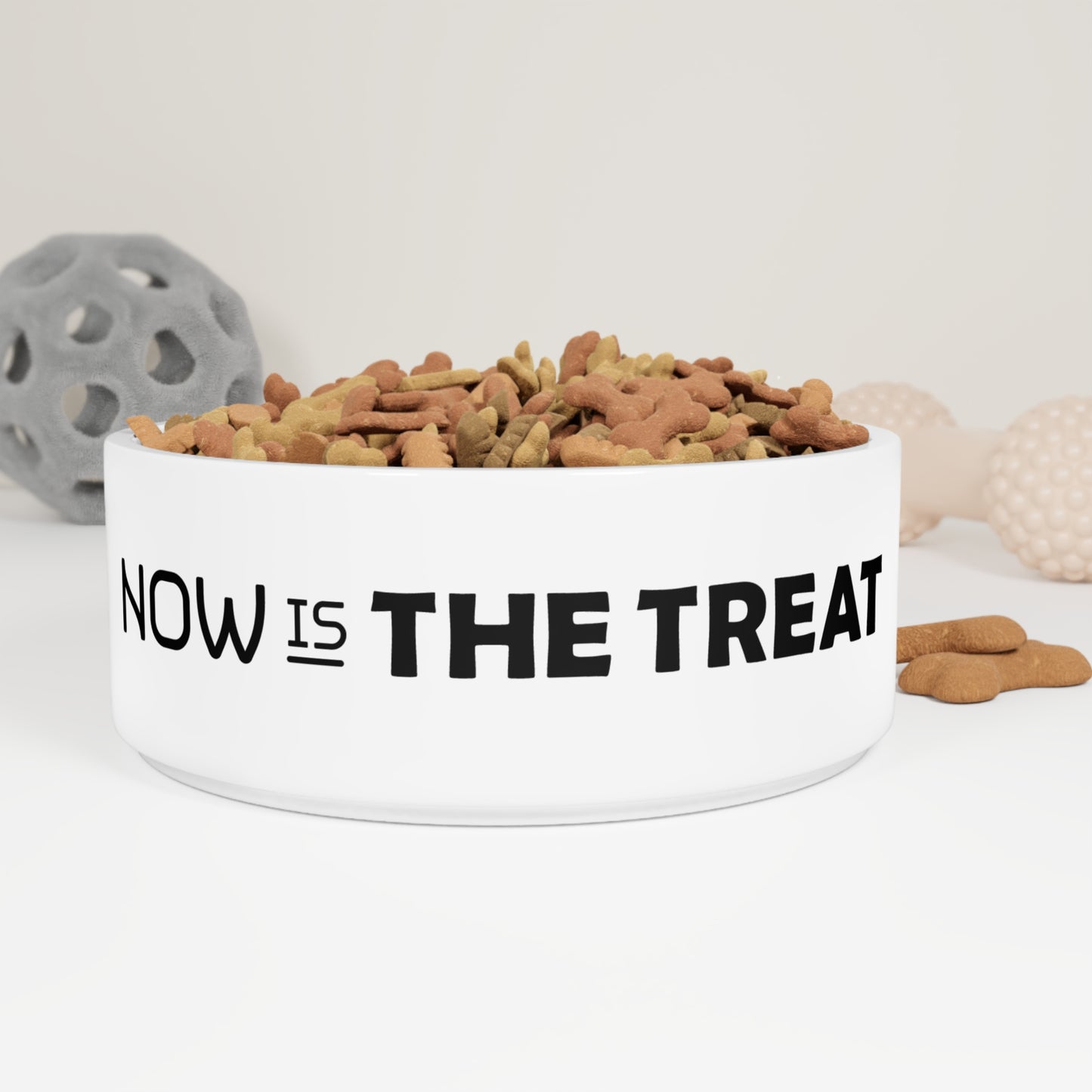 Now Is The Treat - Pet Bowl