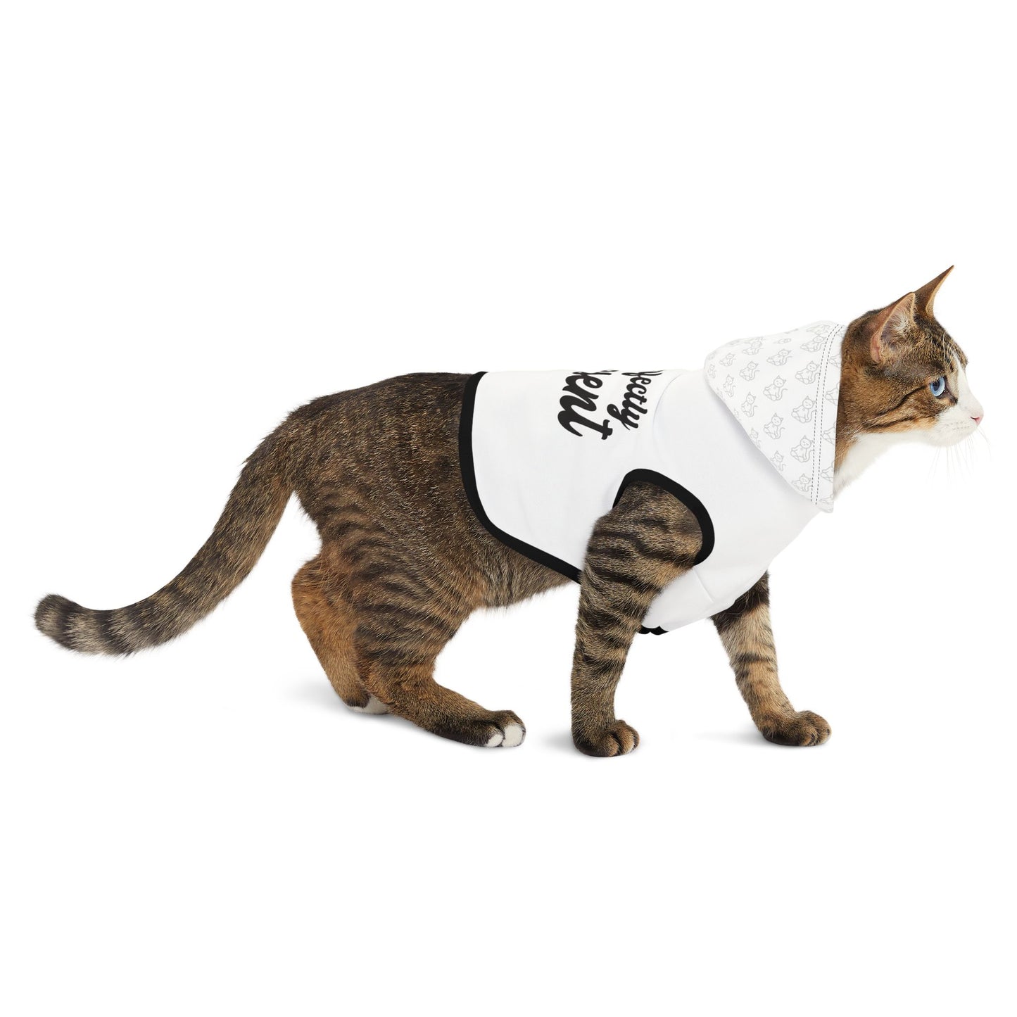 Purrfectly Present - Pet Hoodie