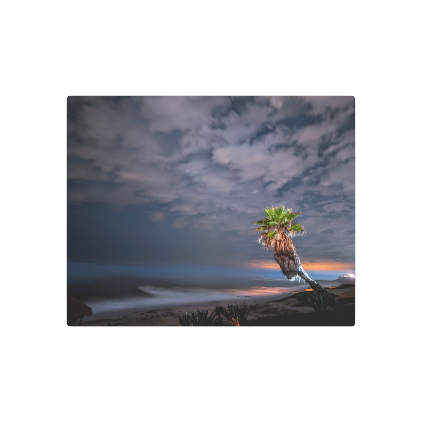 Midnight Palm - Metal Coastal Print