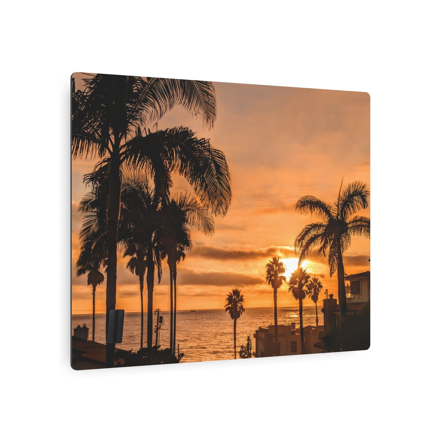 Between the Palms - Metal Coastal Print