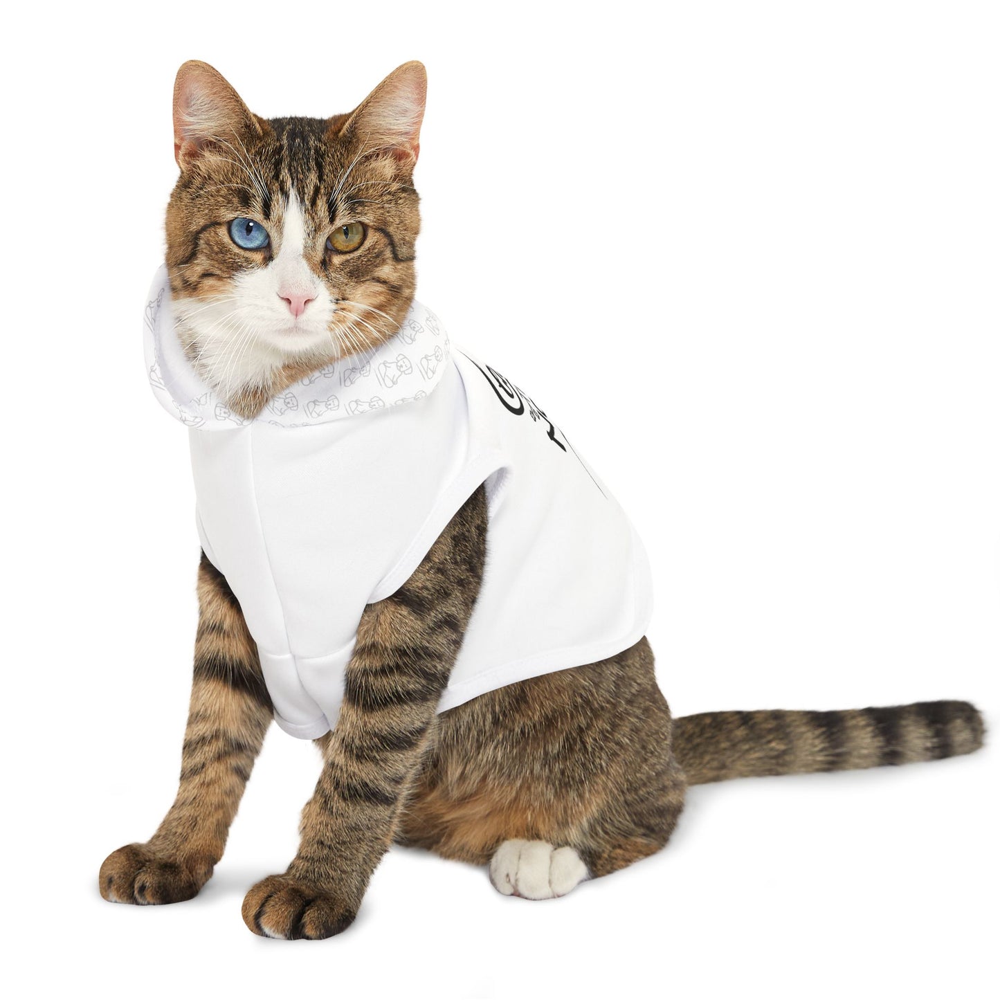 Chase The Now - Pet Hoodie
