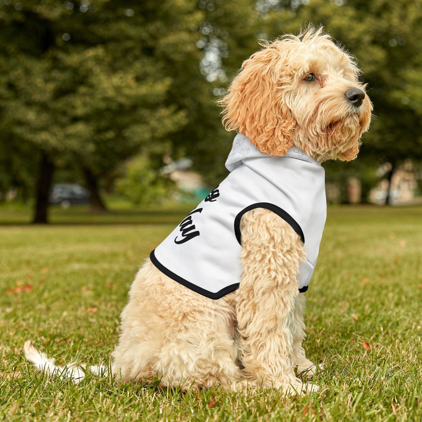 Wag Your Way - Pet Hoodie
