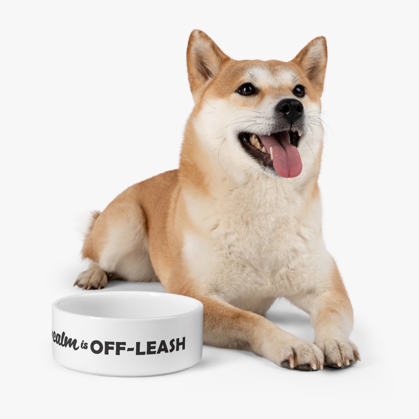 My Calm Is Off-leash Pet Bowl