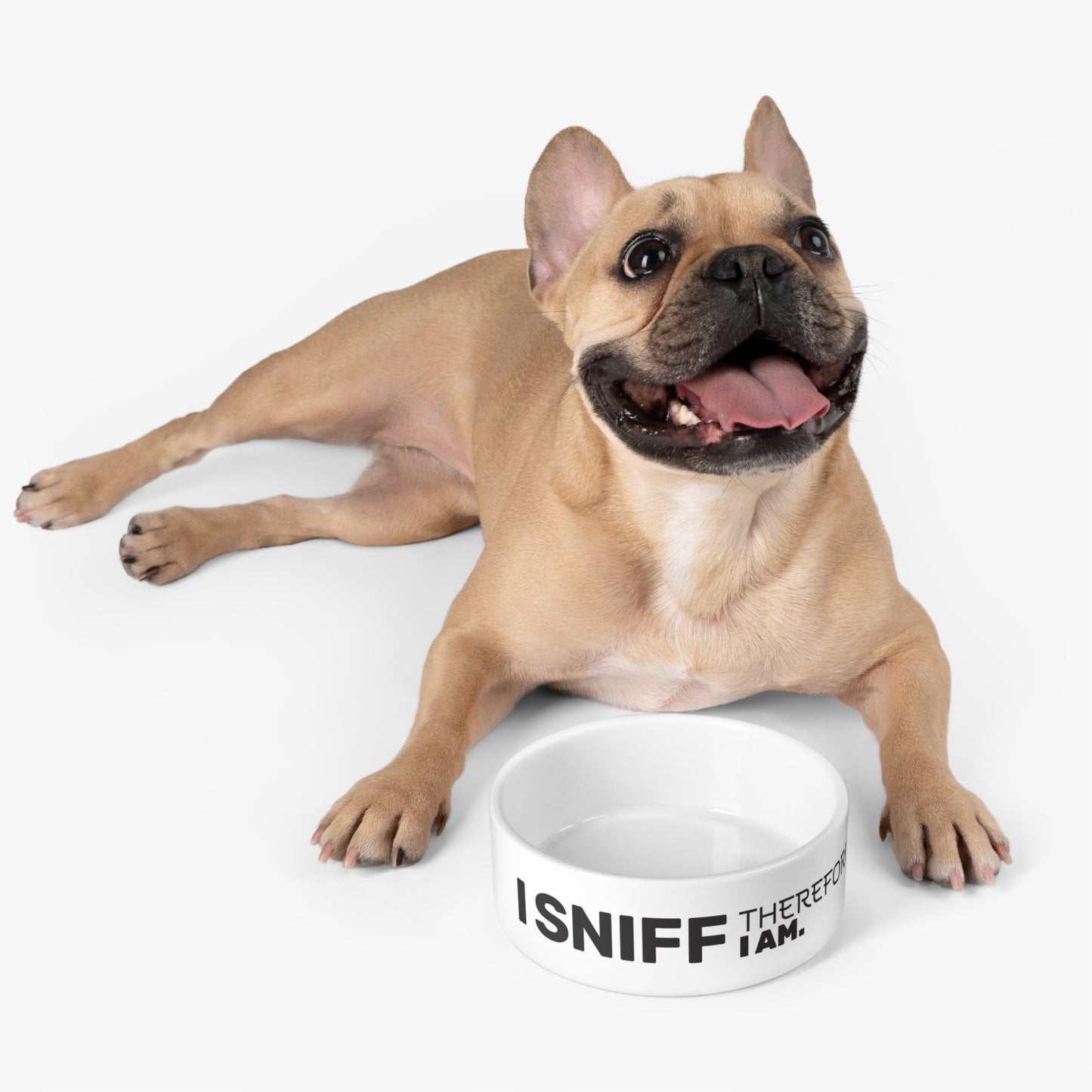 I Sniff Therefore I Am Pet Bowl