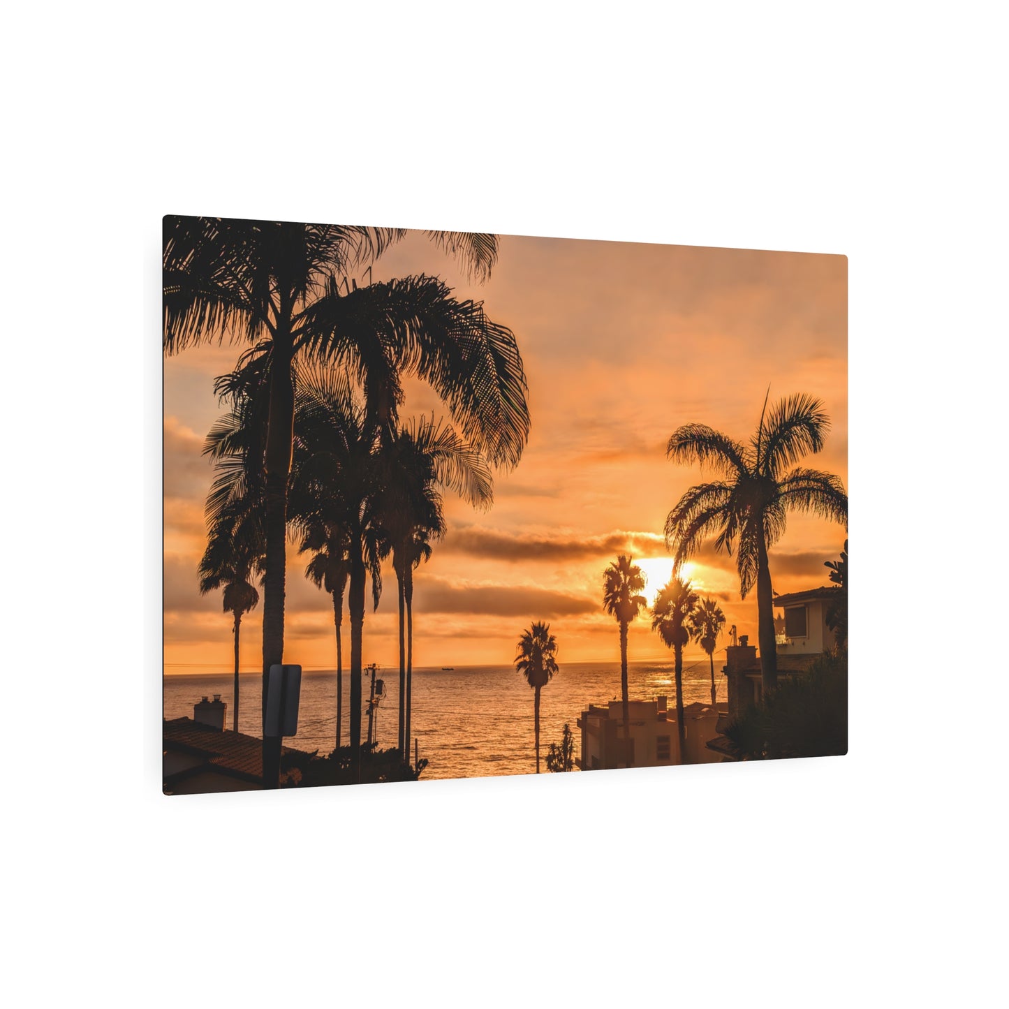 Between the Palms - Metal Coastal Print