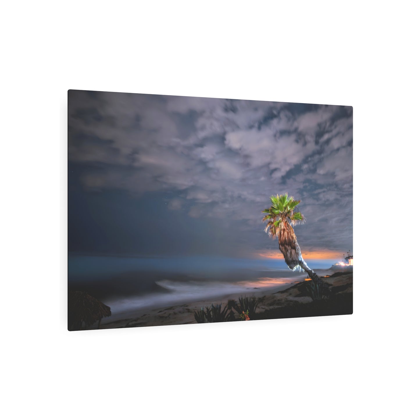Midnight Palm - Metal Coastal Print