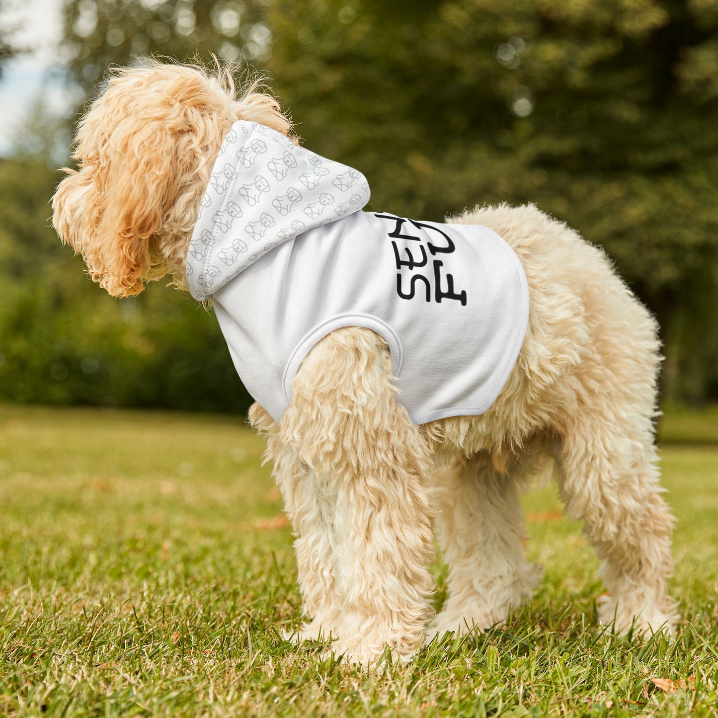 Sensei of Fury - Pet Hoodie