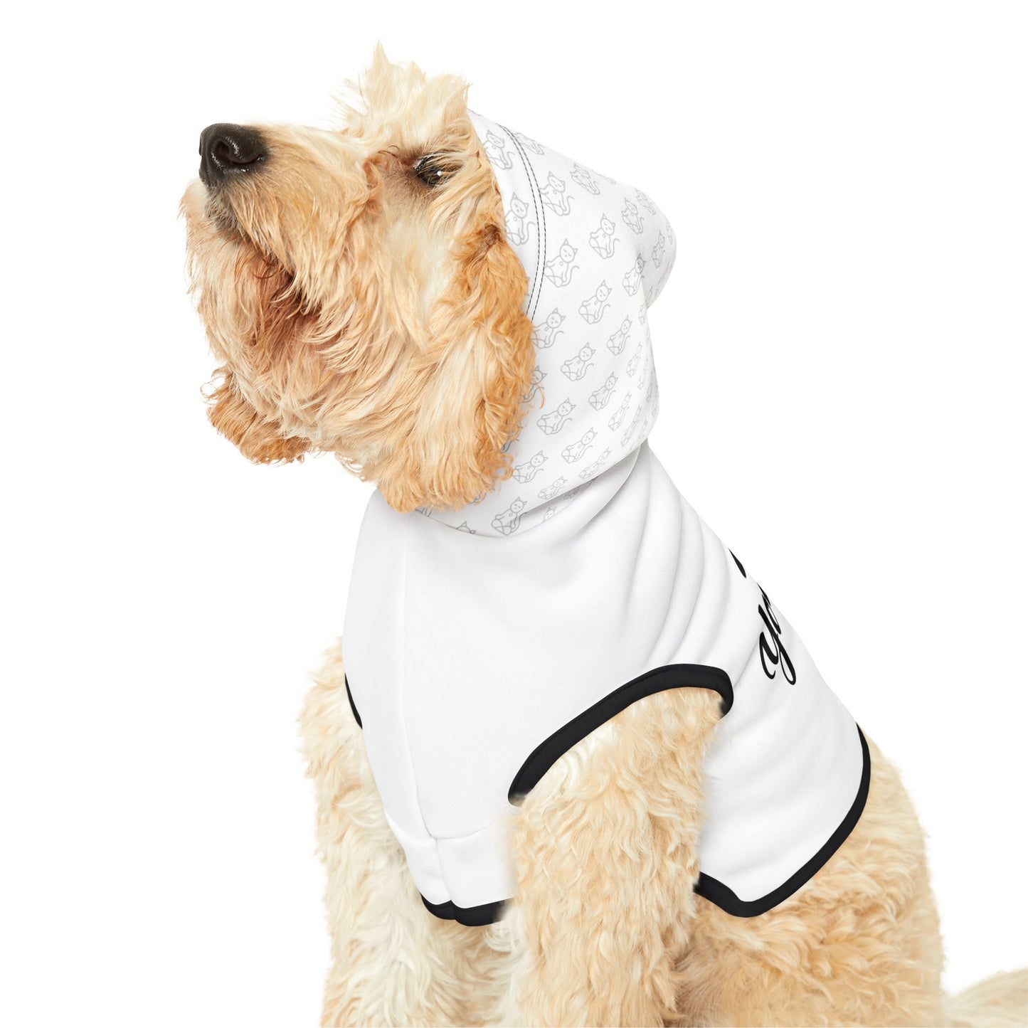 Wag Your Way - Pet Hoodie