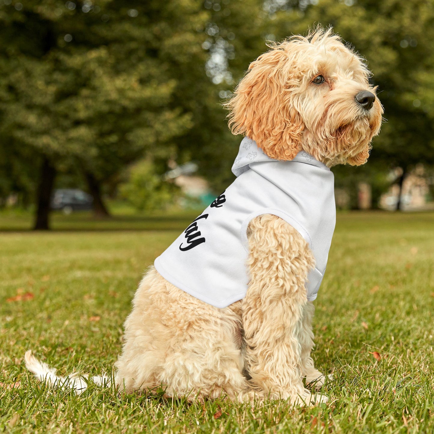 Wag Your Way - Pet Hoodie
