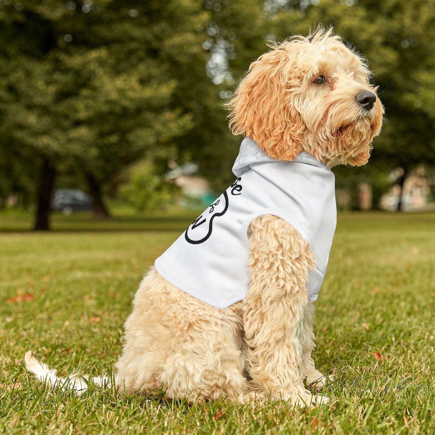 Chase The Now - Pet Hoodie