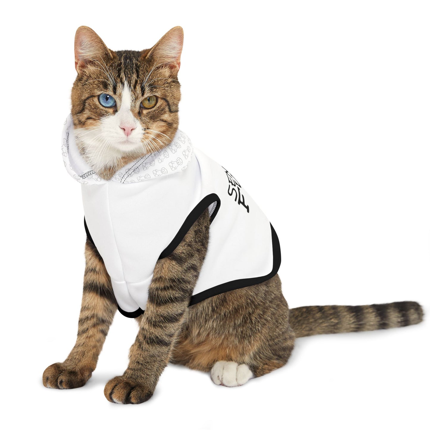 Sensei of Fury - Pet Hoodie